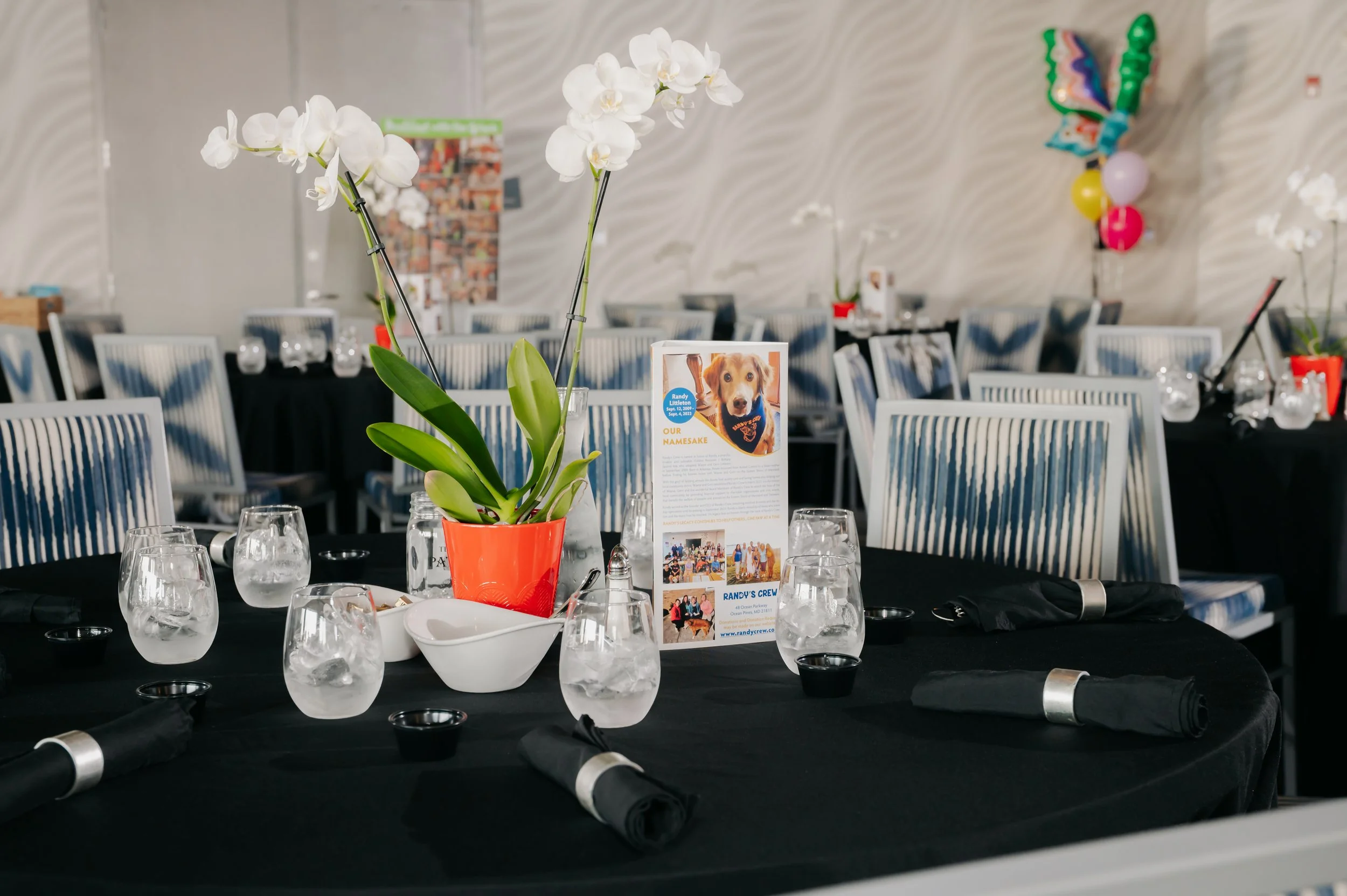 Spring Fling 2026 5.jpg