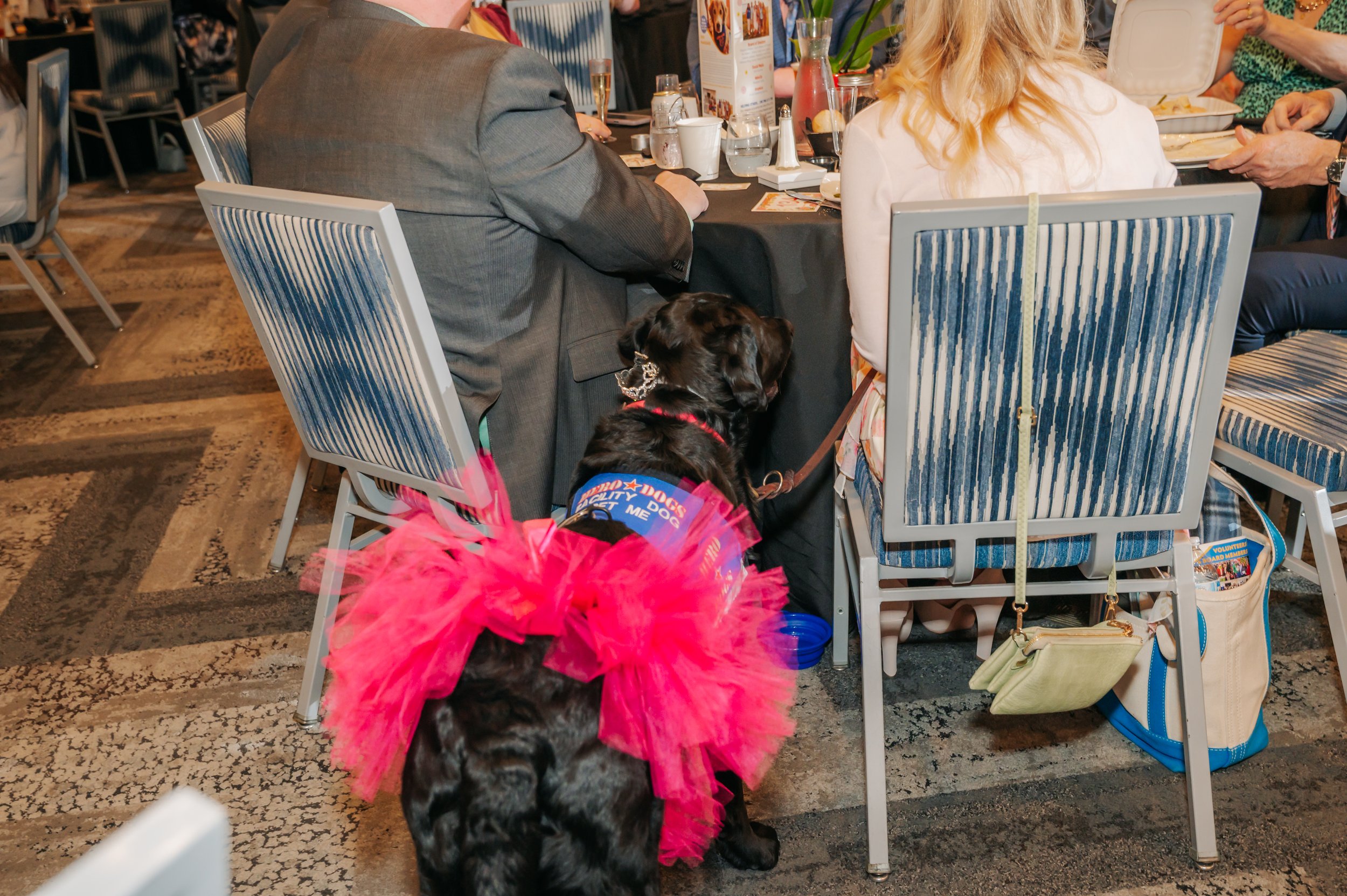 Spring Fling 2026 227.jpg