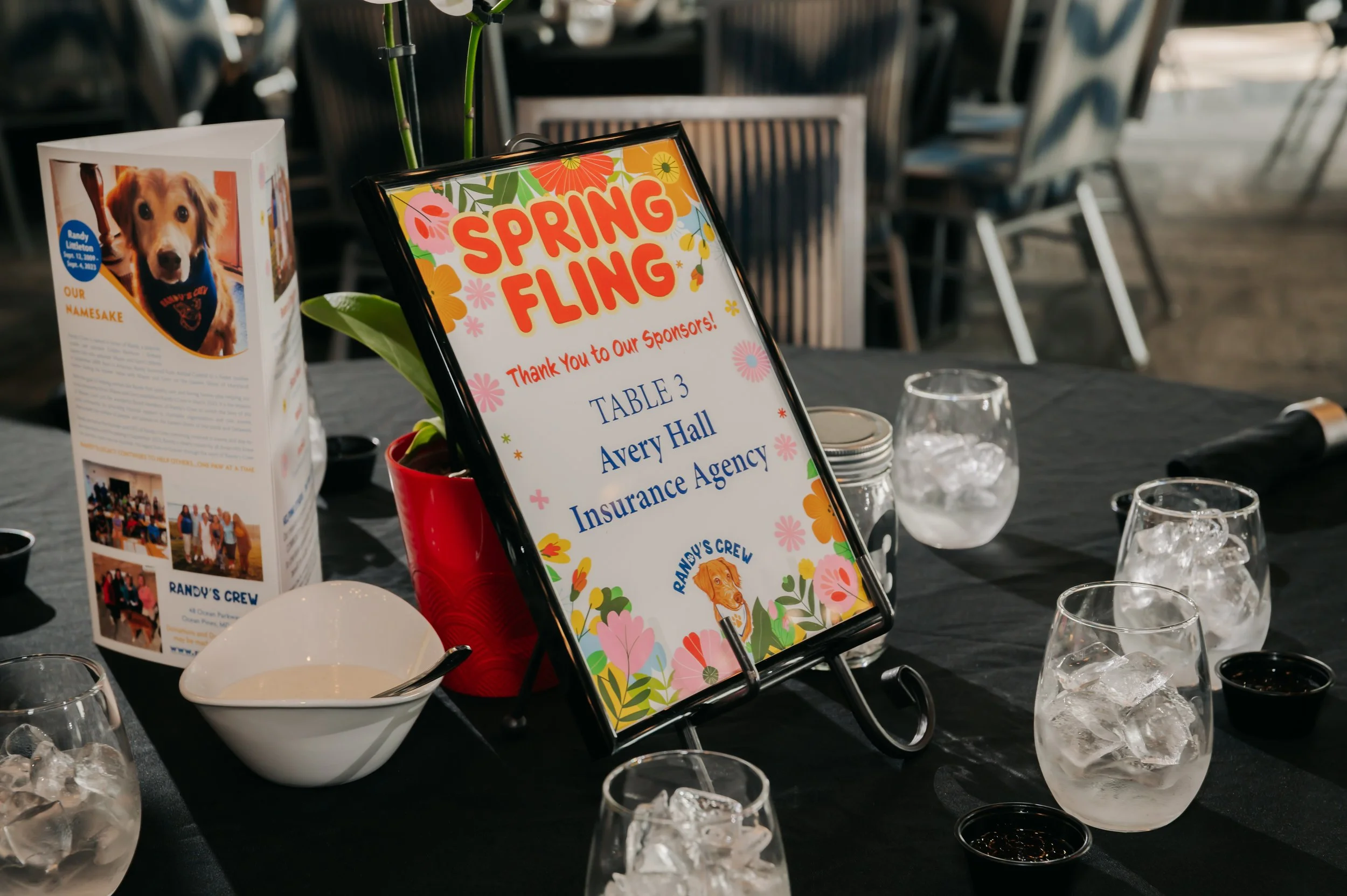 Spring Fling 2026 21.jpg