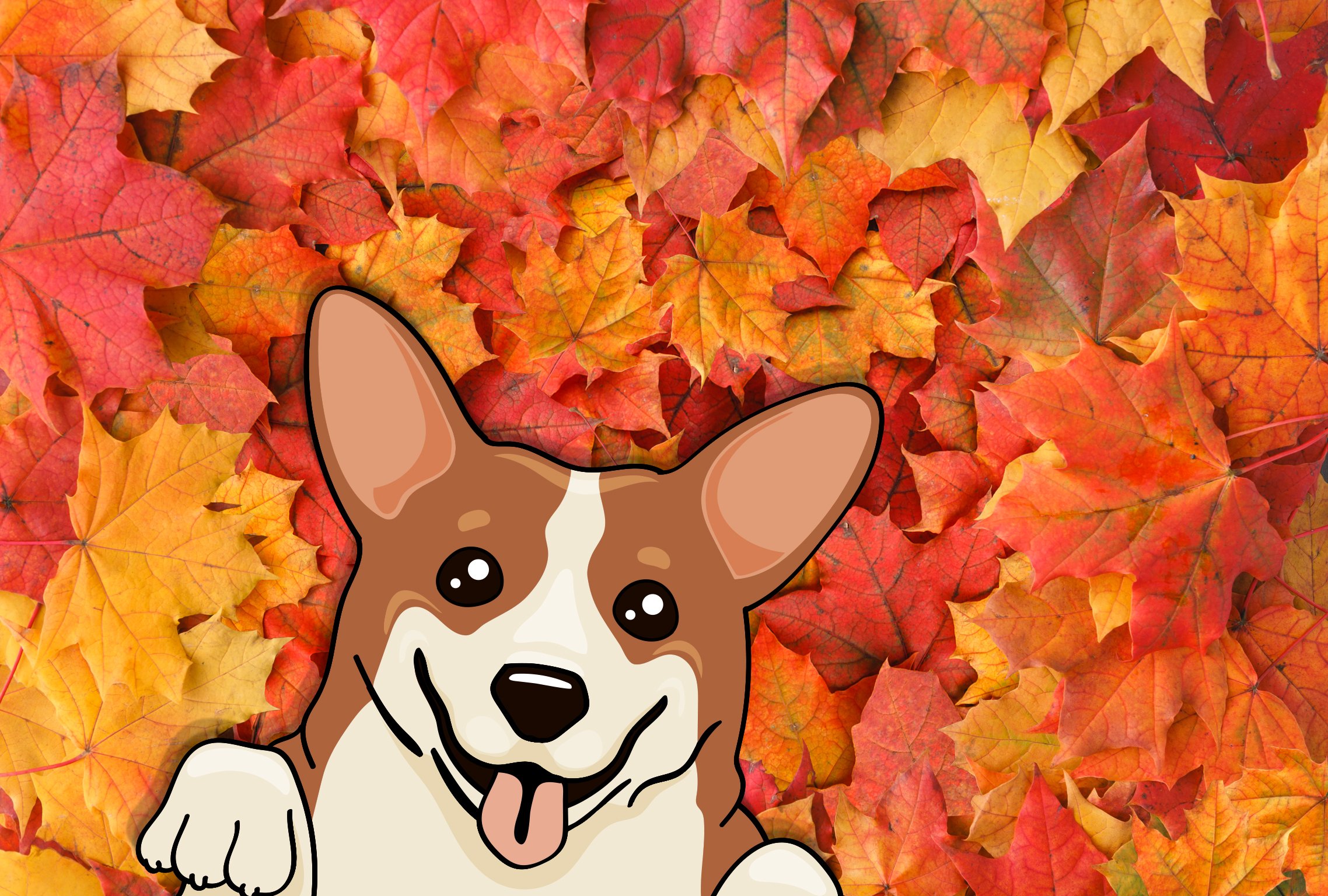 CorgiLeaves.jpg
