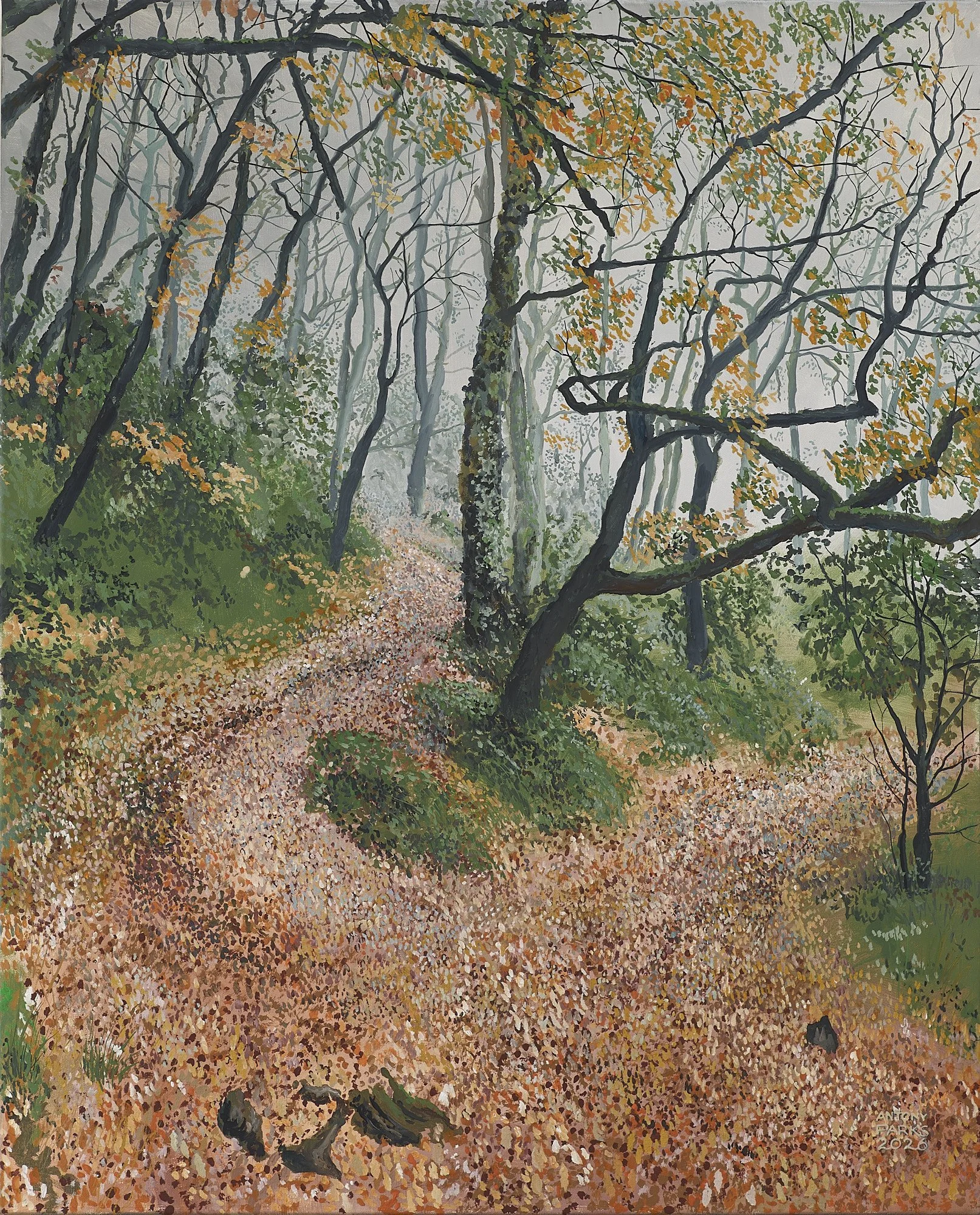 2026_costes_gozan_0 1.jpg