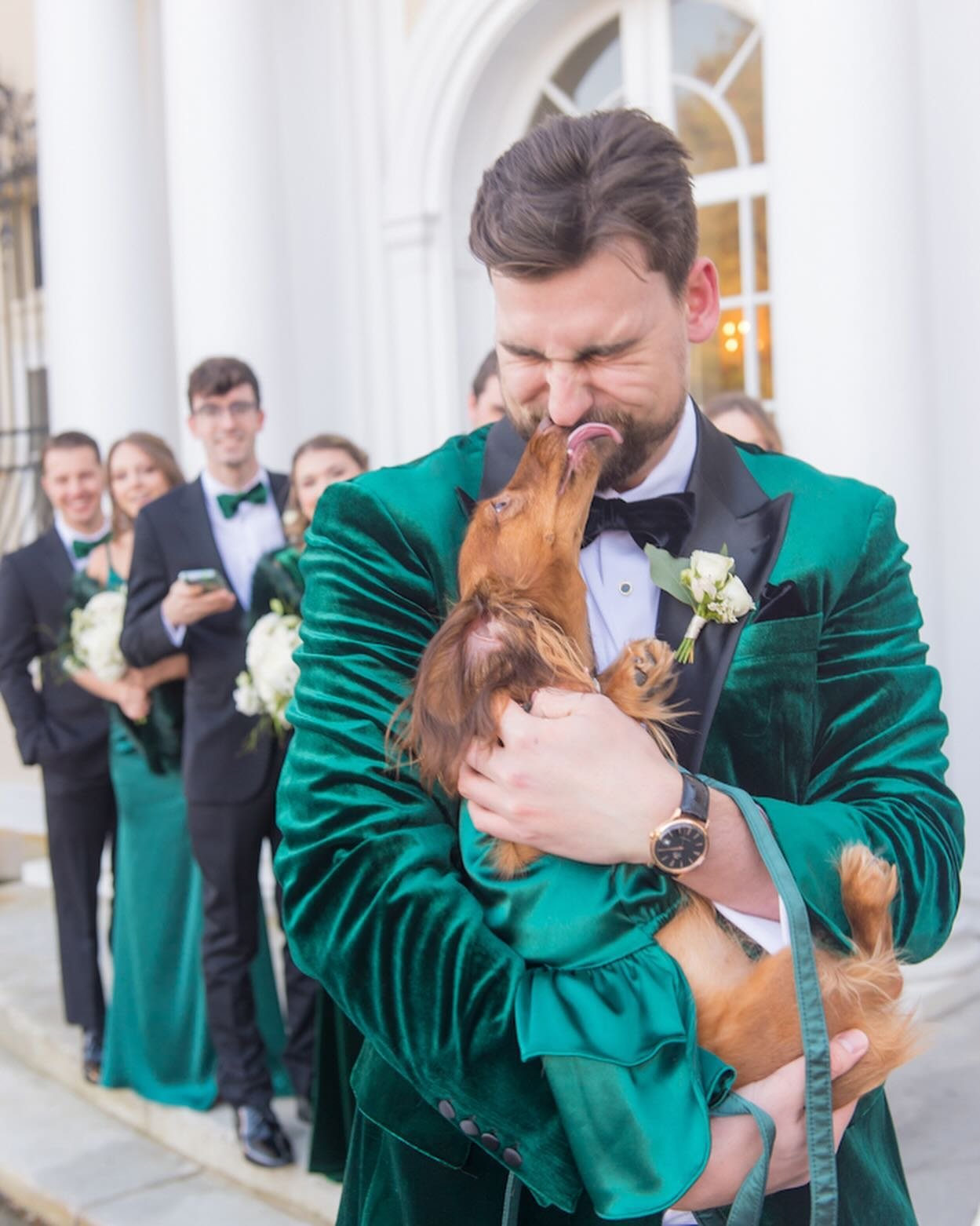 Starting our week with some cuteness overload! Stumbled upon these pics from last years wedding at @tuppermanor and had to post. Cannot wait to see all the furry friends that will be making a celeb appearance at our 2024 weddings! 

If you had your p