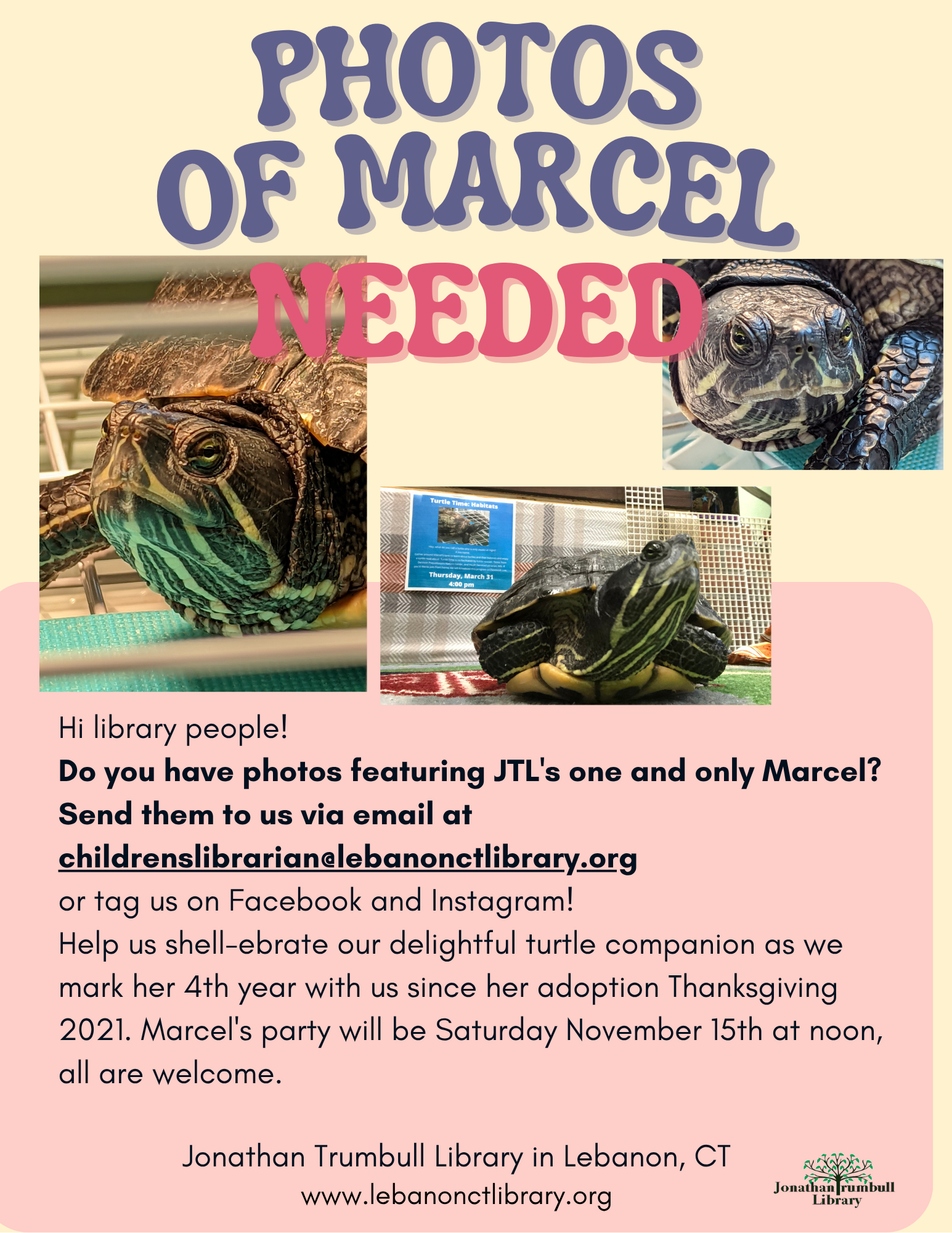 Turtle Photos Needed!