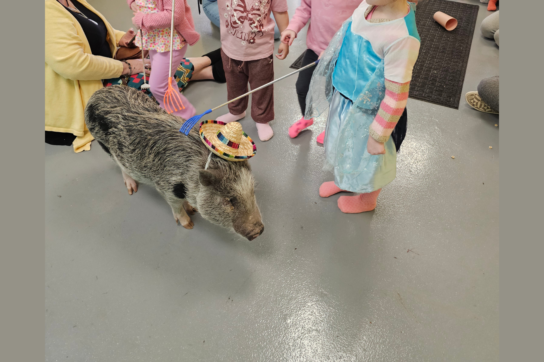 Gilbert The Party Pig