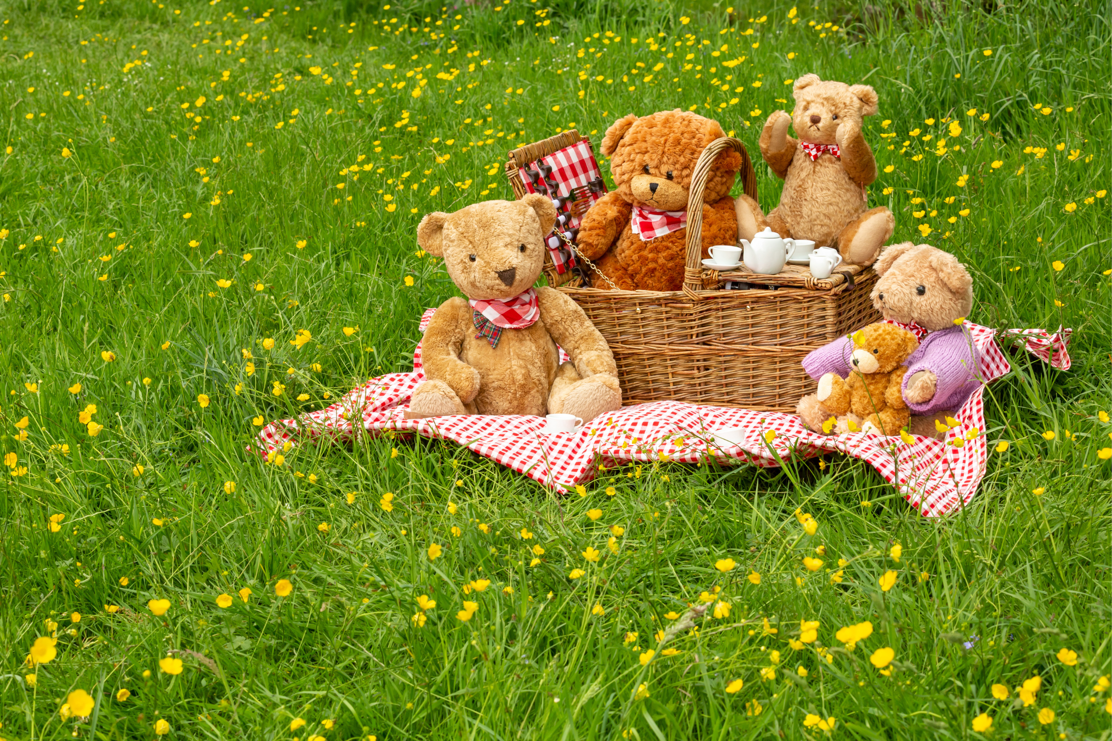 Teddy Bear Picnic & Sleepover