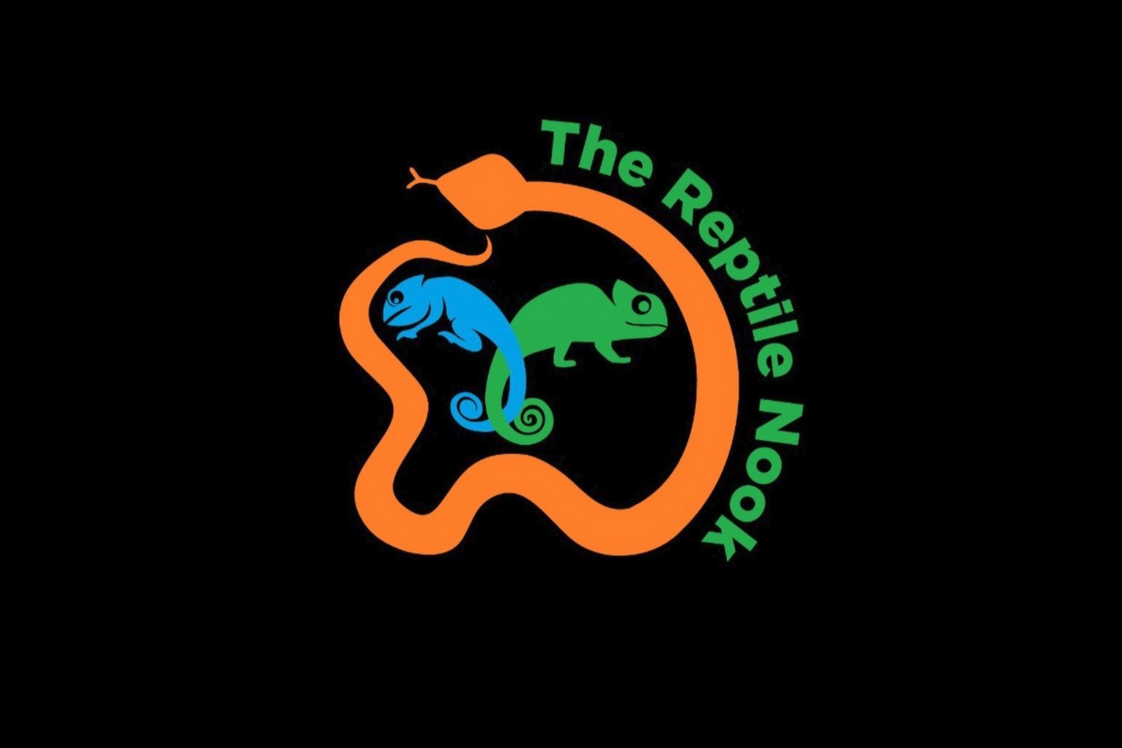 Reptile Nook