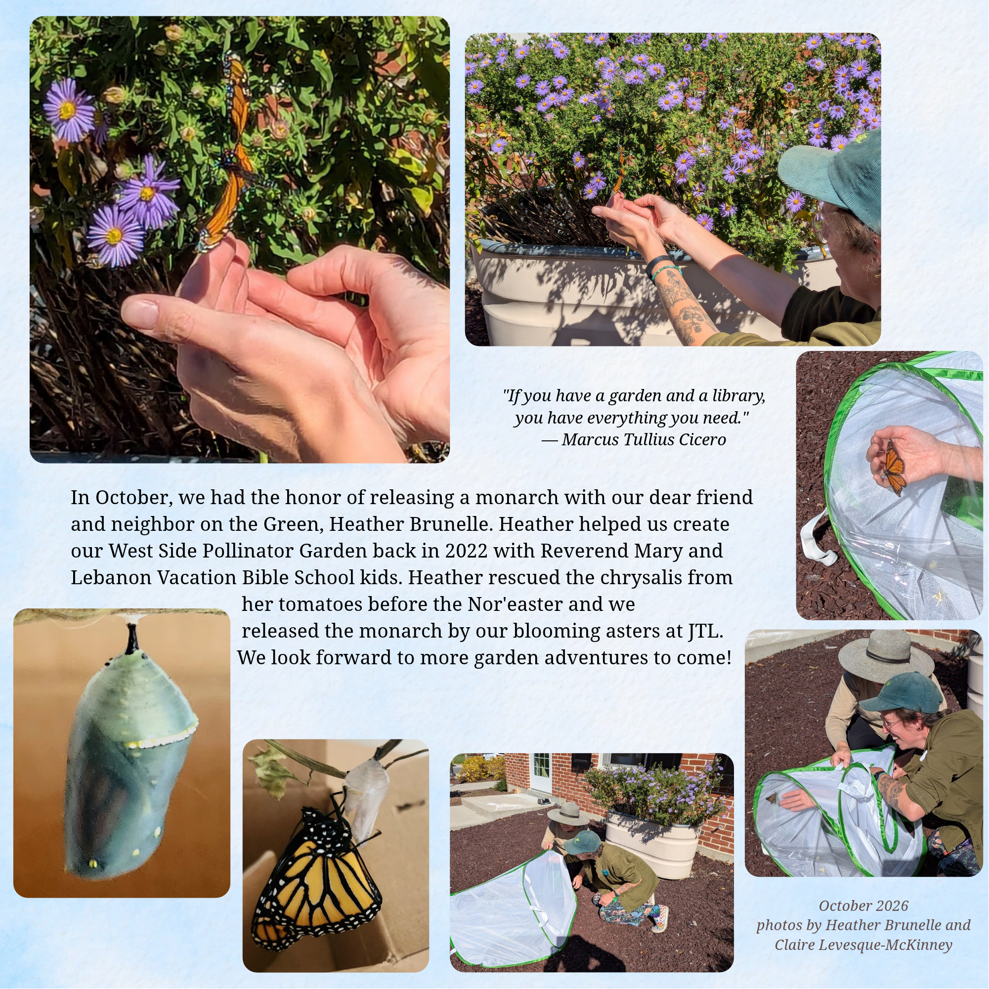 October Monarch Release Reflection