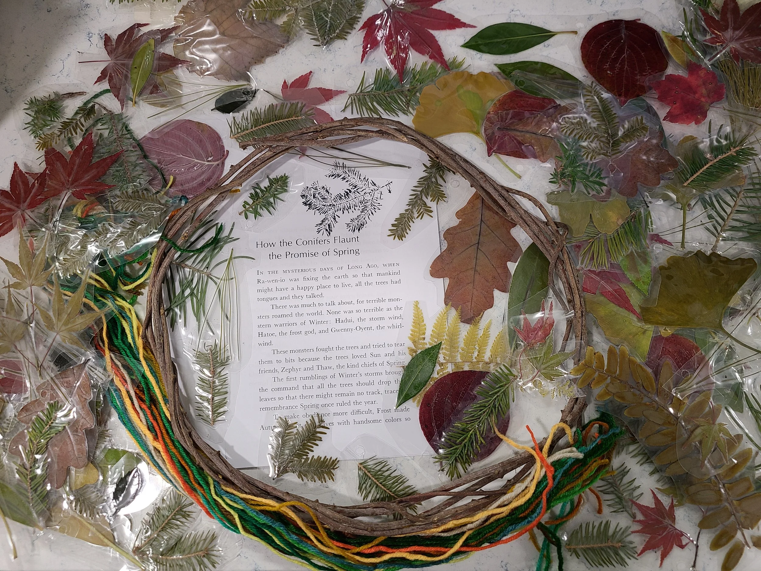 Tree Talk: Story &amp; Craft *Registration required