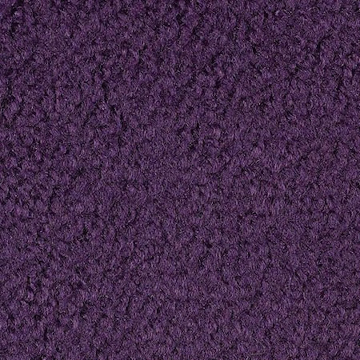 Puple Carpet Sample copy.jpg