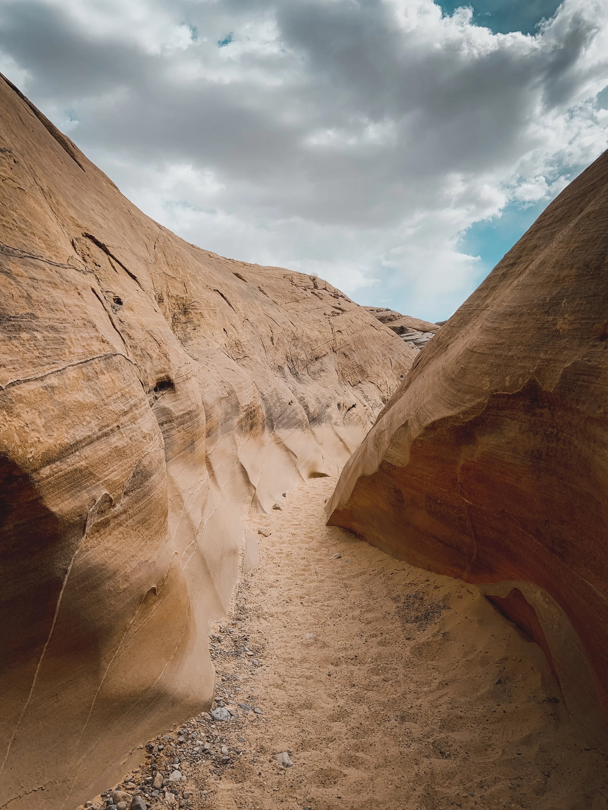 Mars On Earth