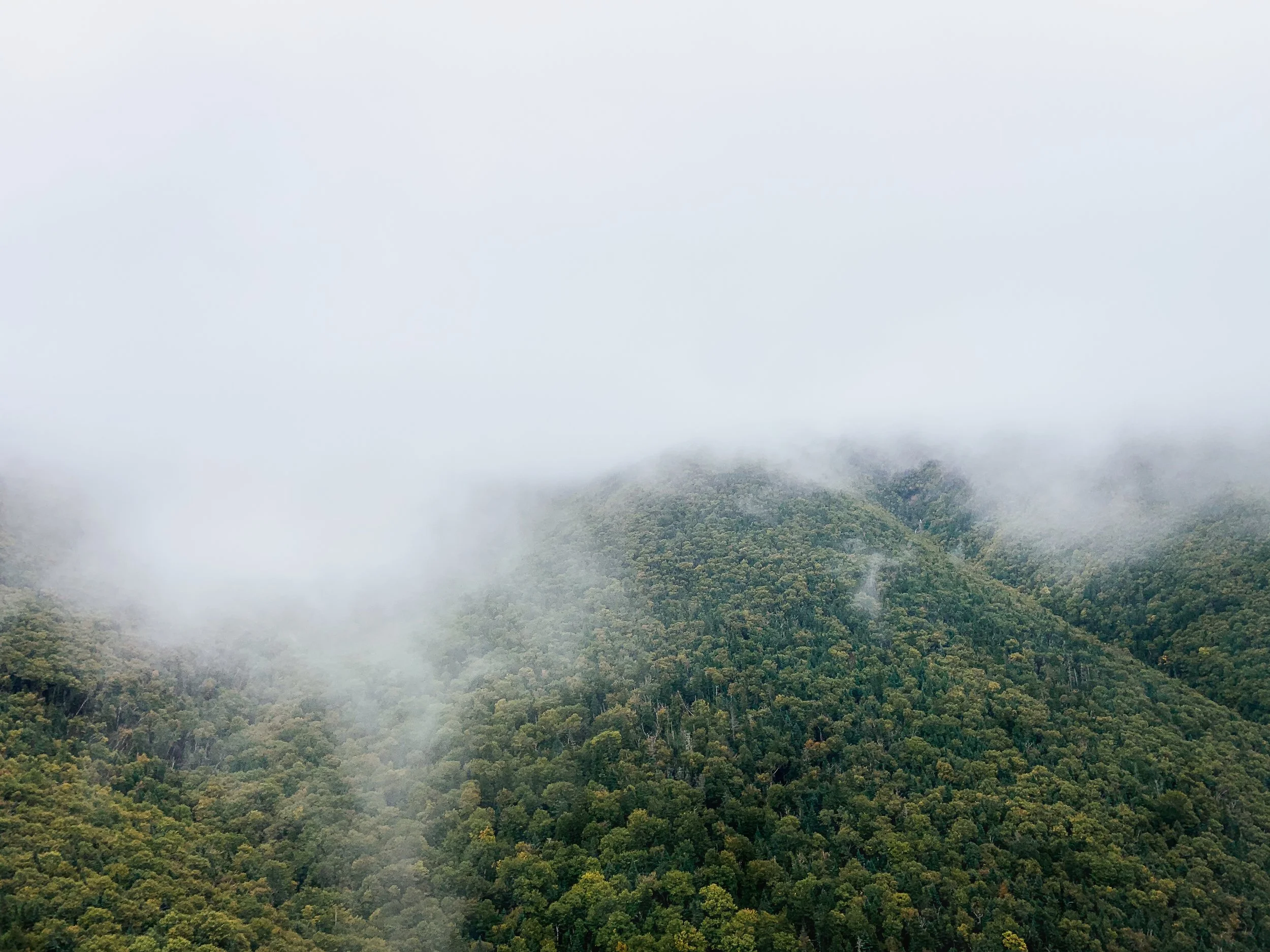 Cloudy Mountain Top
