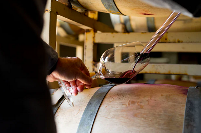 SCHRADER CELLARS TASTING