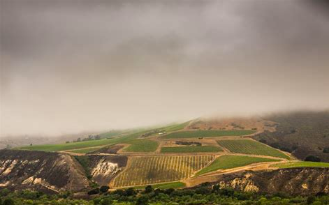 Sea Smoke Estate Vineyards Tasting