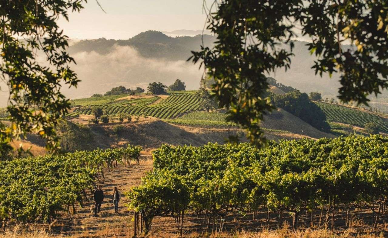 Fireside Chat with Kistina Shideler