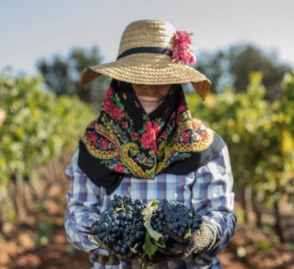 wL Tasting: Southern Hemisphere Harvest