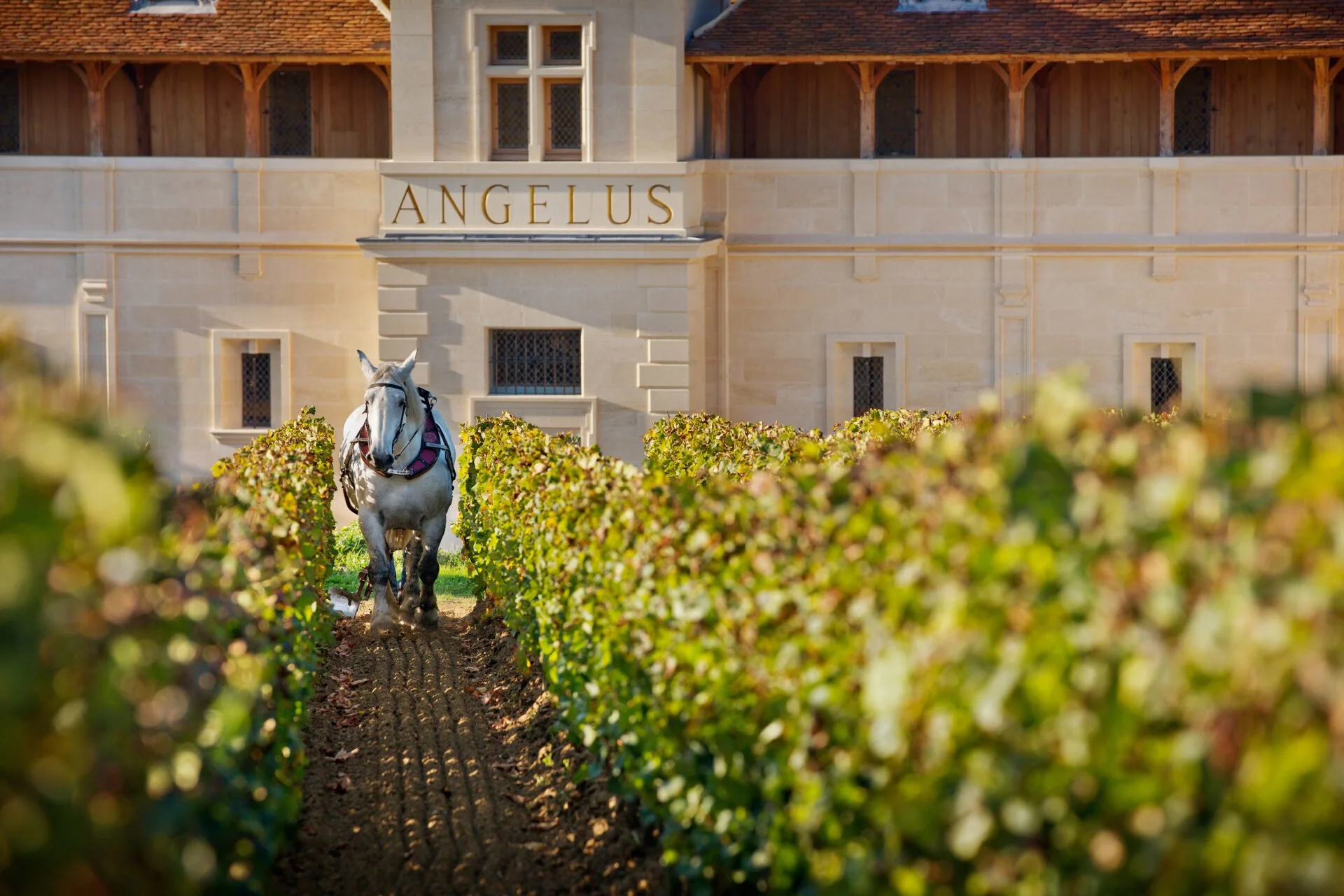 Château Angélus Wine Dinner Night 2