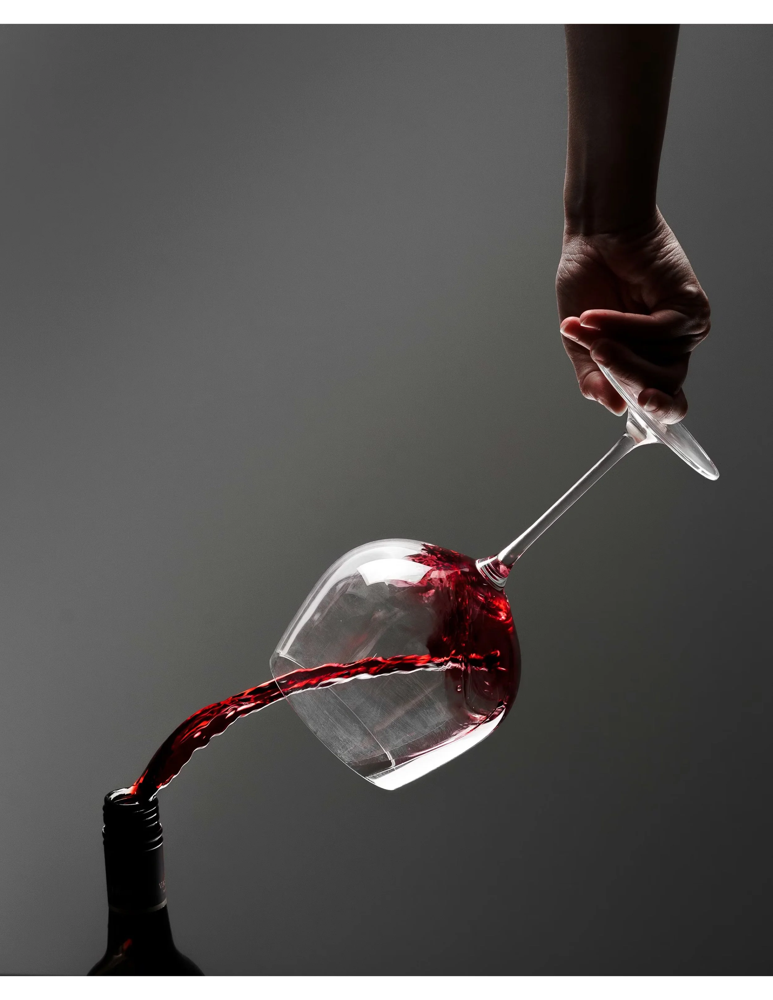 Somm Cellar Picks