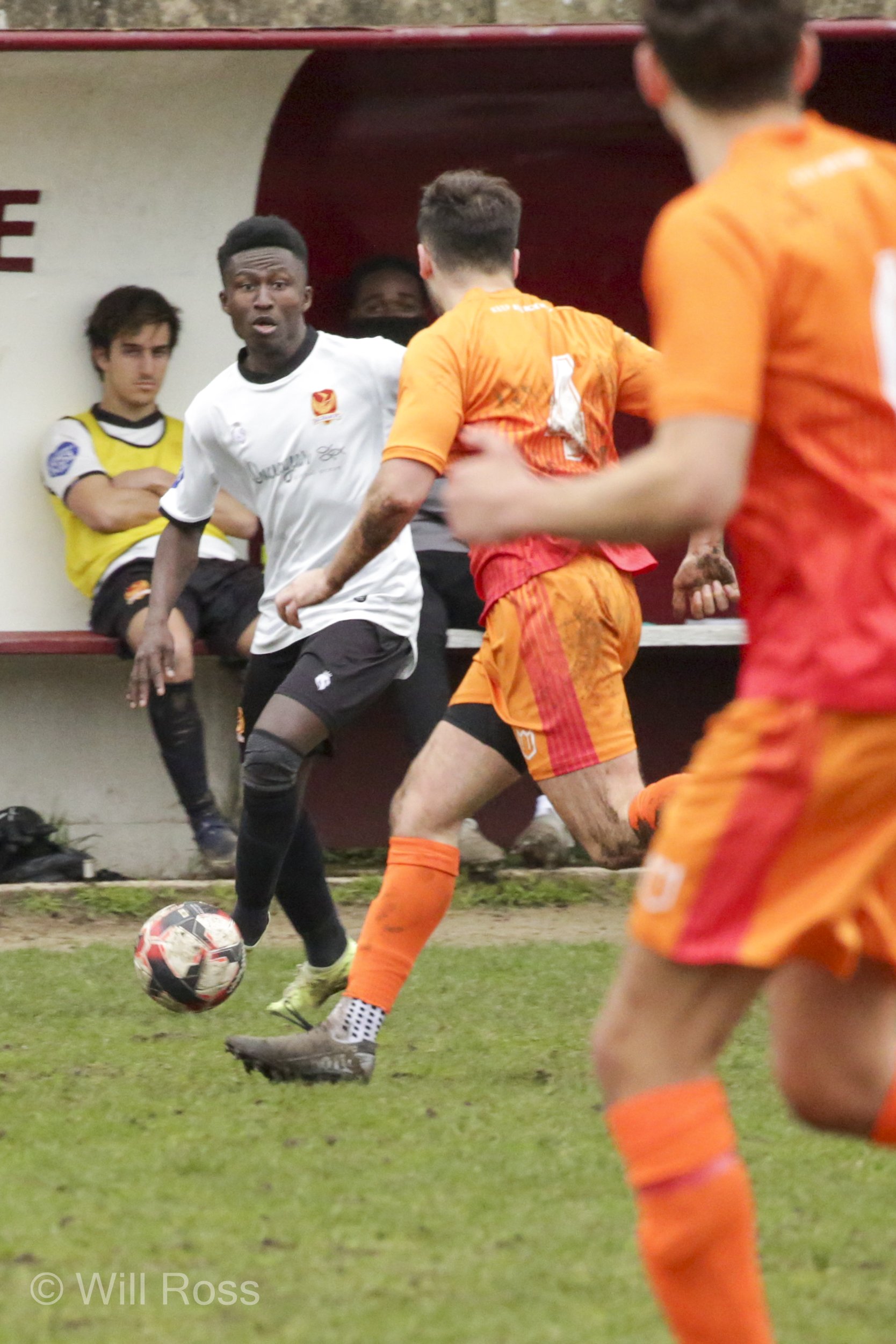 Balham2-1Alton (196 of 209).JPG