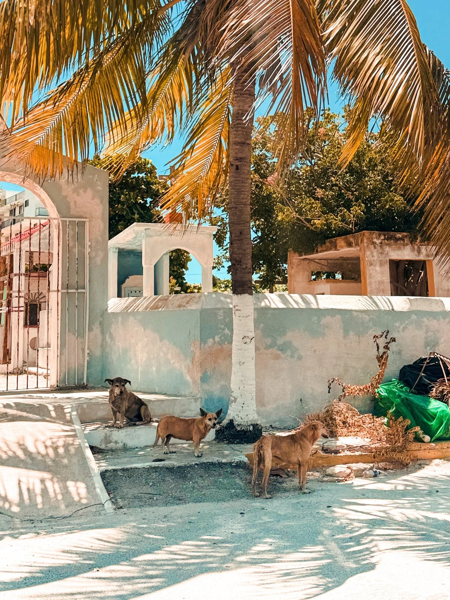 Mexico Inspiration in Colours