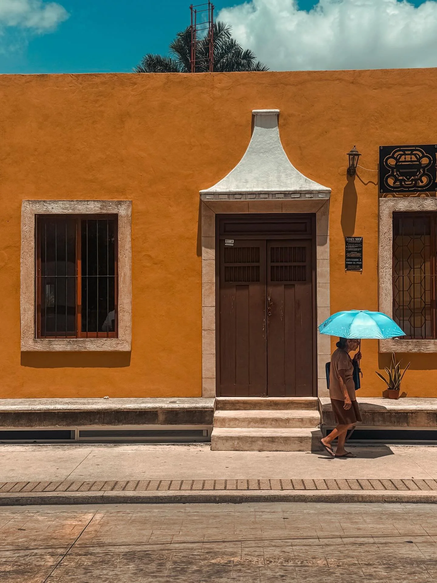 Doors in Mexico 🚪✨
