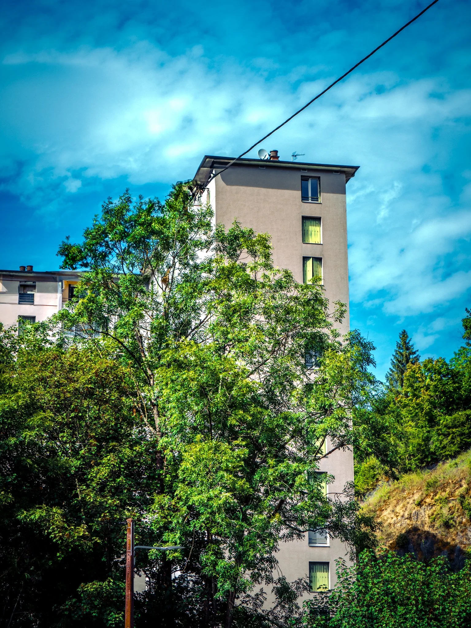 P1000053.jpg