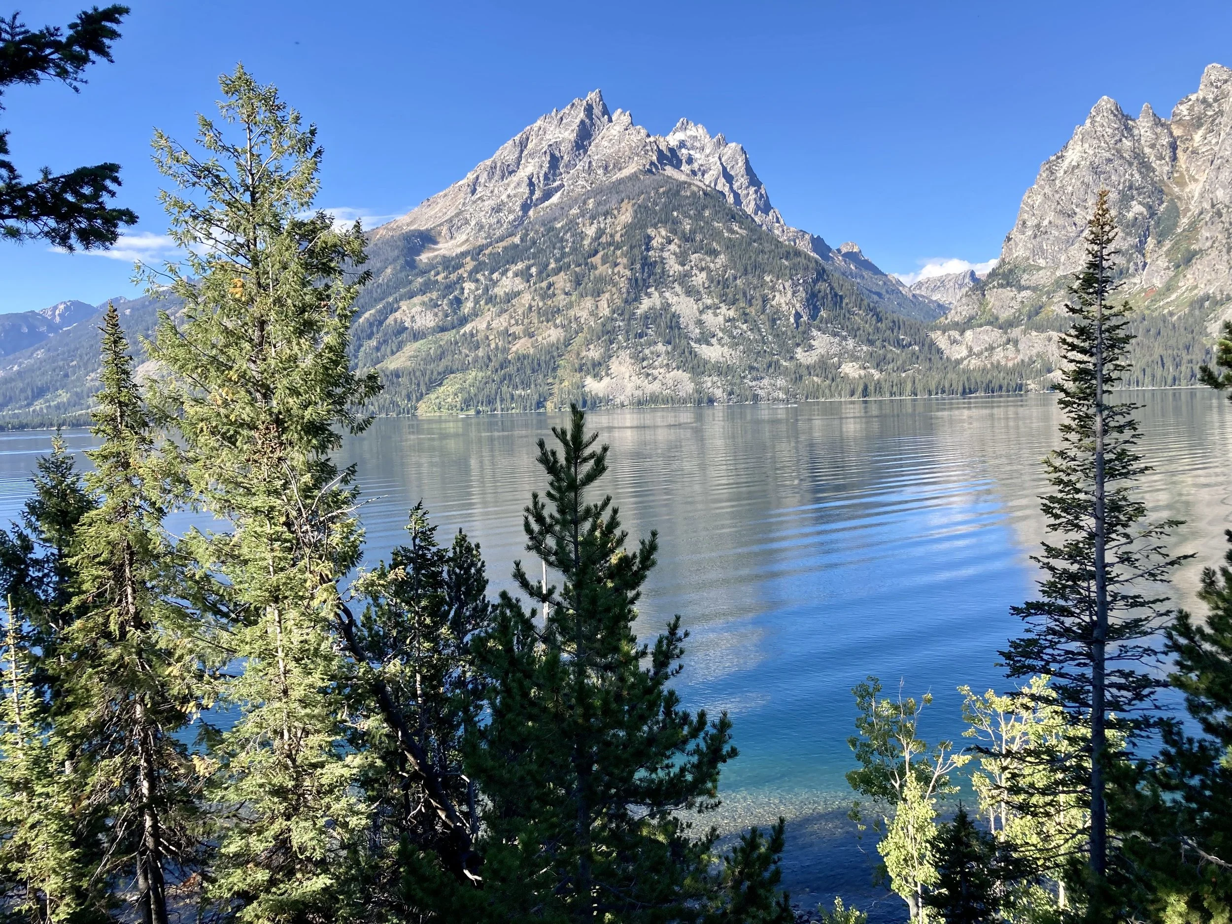 Mountain landscape with a lake in the foreground, surrounded by evergreen trees, and a snow-capped mountain peak in the background under a clear blue sky.