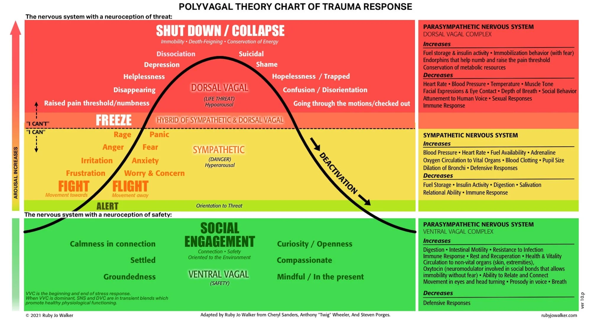 Polyvagal theory practical applications for mental health and wellbeing