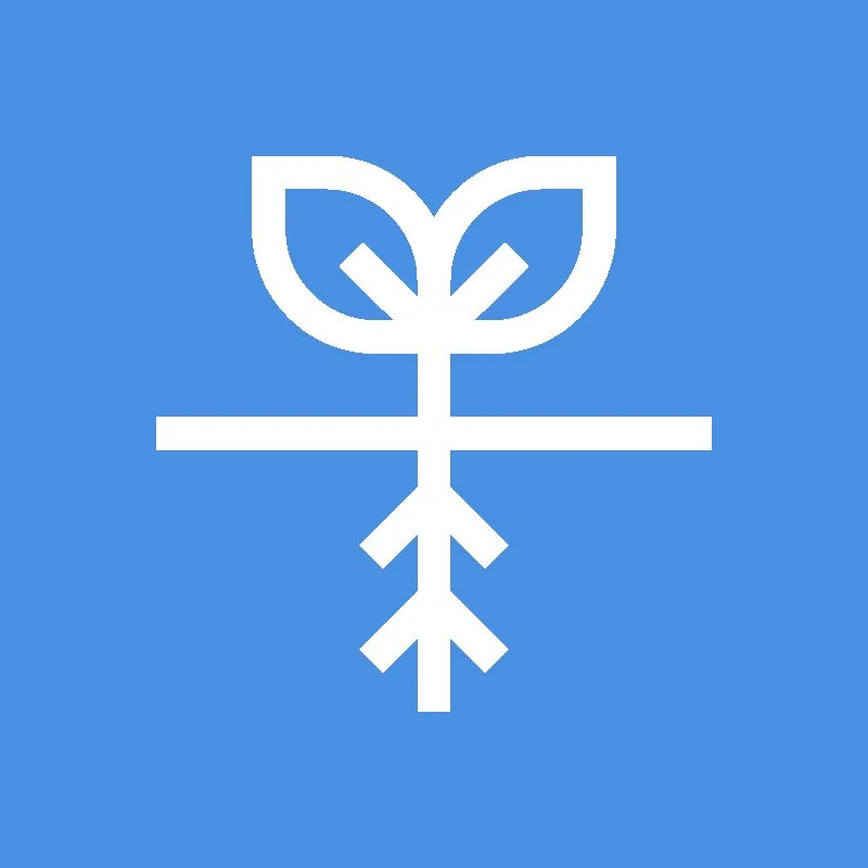 Roots symbolizing EMDR therapists who target the root cause of trauma symptoms.