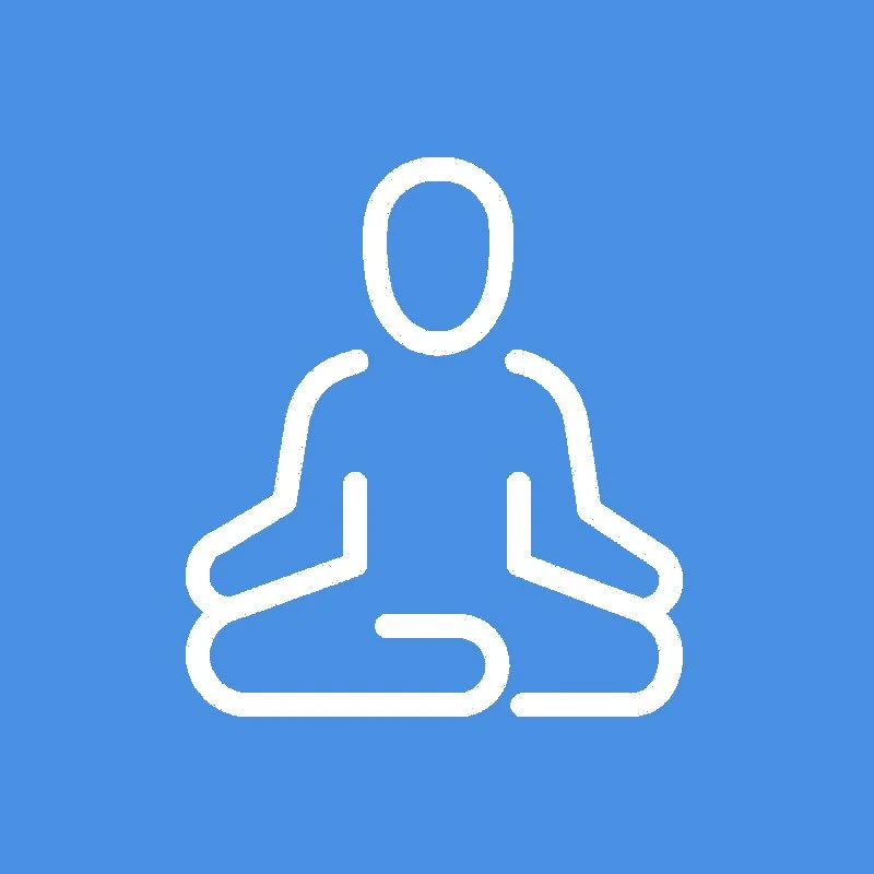 Somatic Experiencing therapy icon.