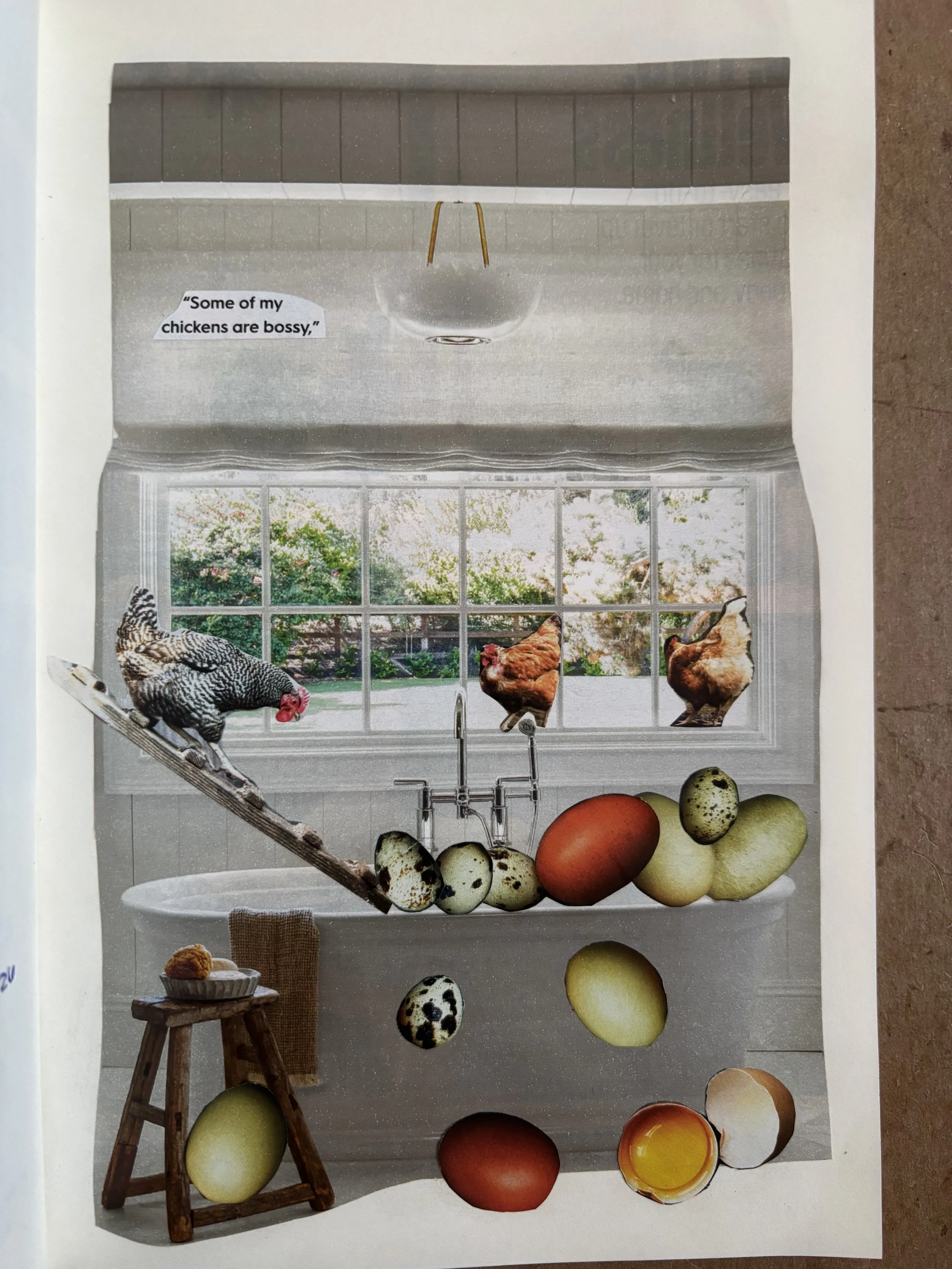 some of my chickens are bossy - collage on paper. 2026