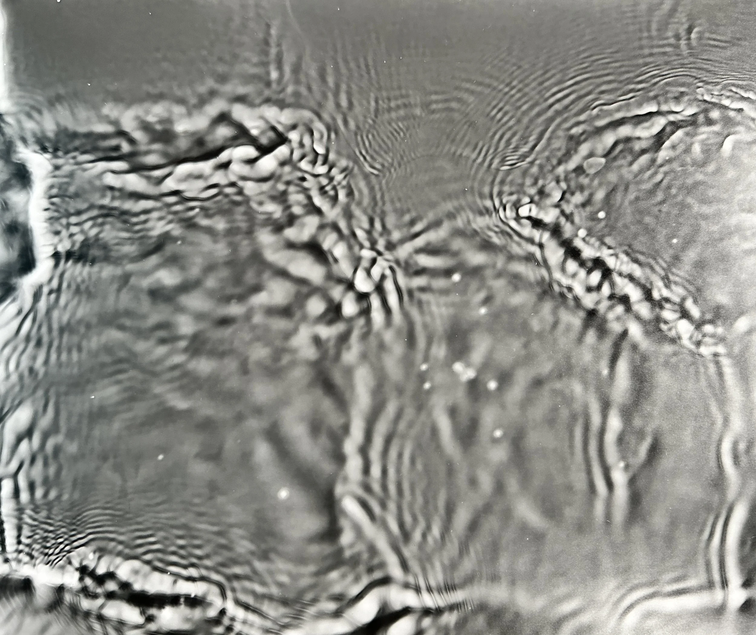 "Reverberate, no. 4" Watergram, 2023.
Water, motion, light on black and white darkroom paper, traditional darkroom chemistry.