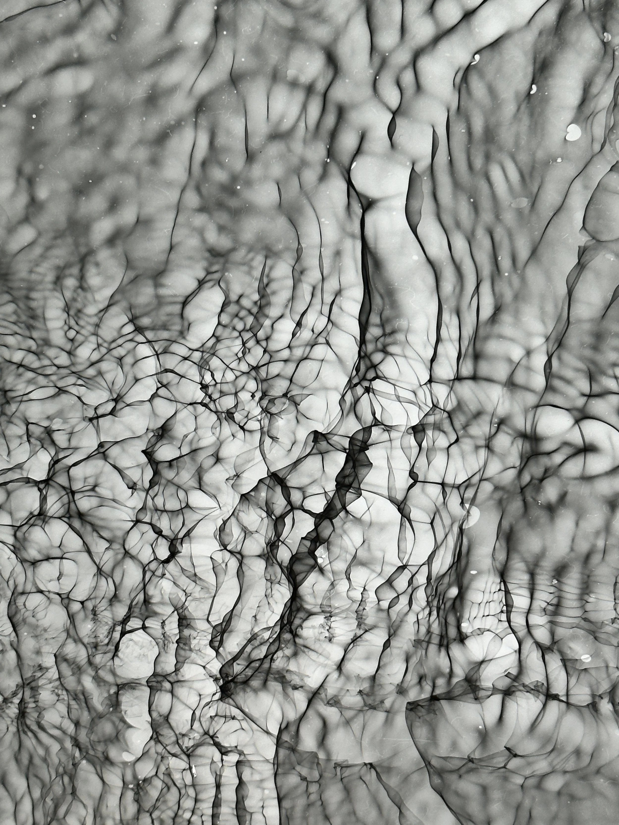 "Reverberate" detail. Watergram, 2023. Water, motion, light on black and white darkroom paper, traditional darkroom chemistry.