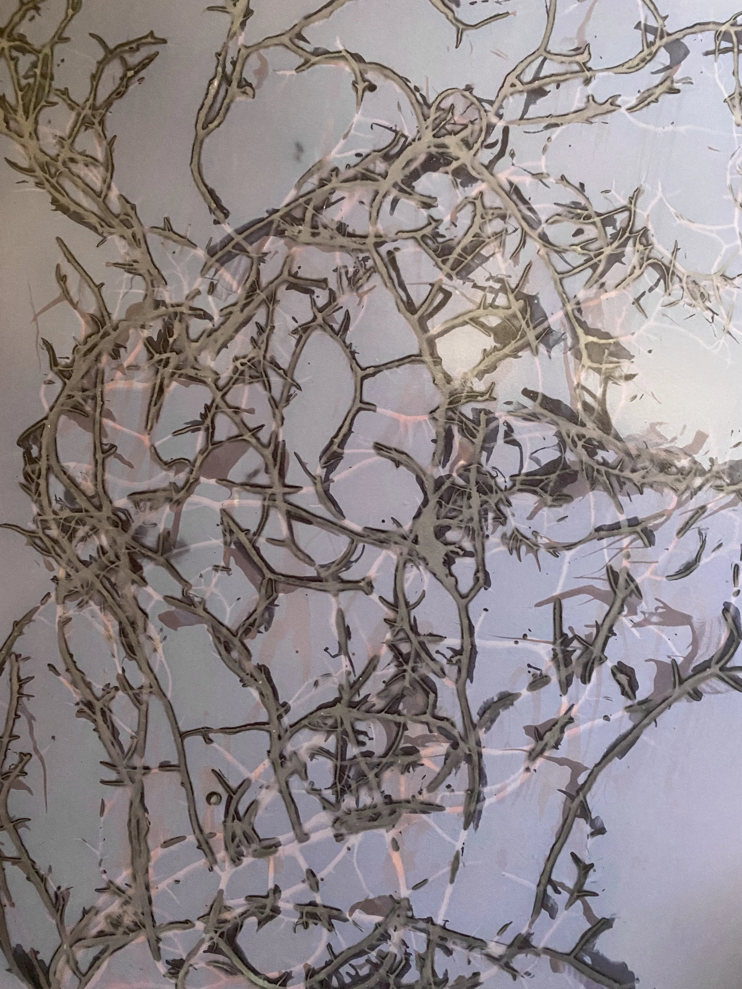 "Ebb Series" Lumen print, 2022. Seaweed, U.V. light, salt water, expired black and white photo paper.