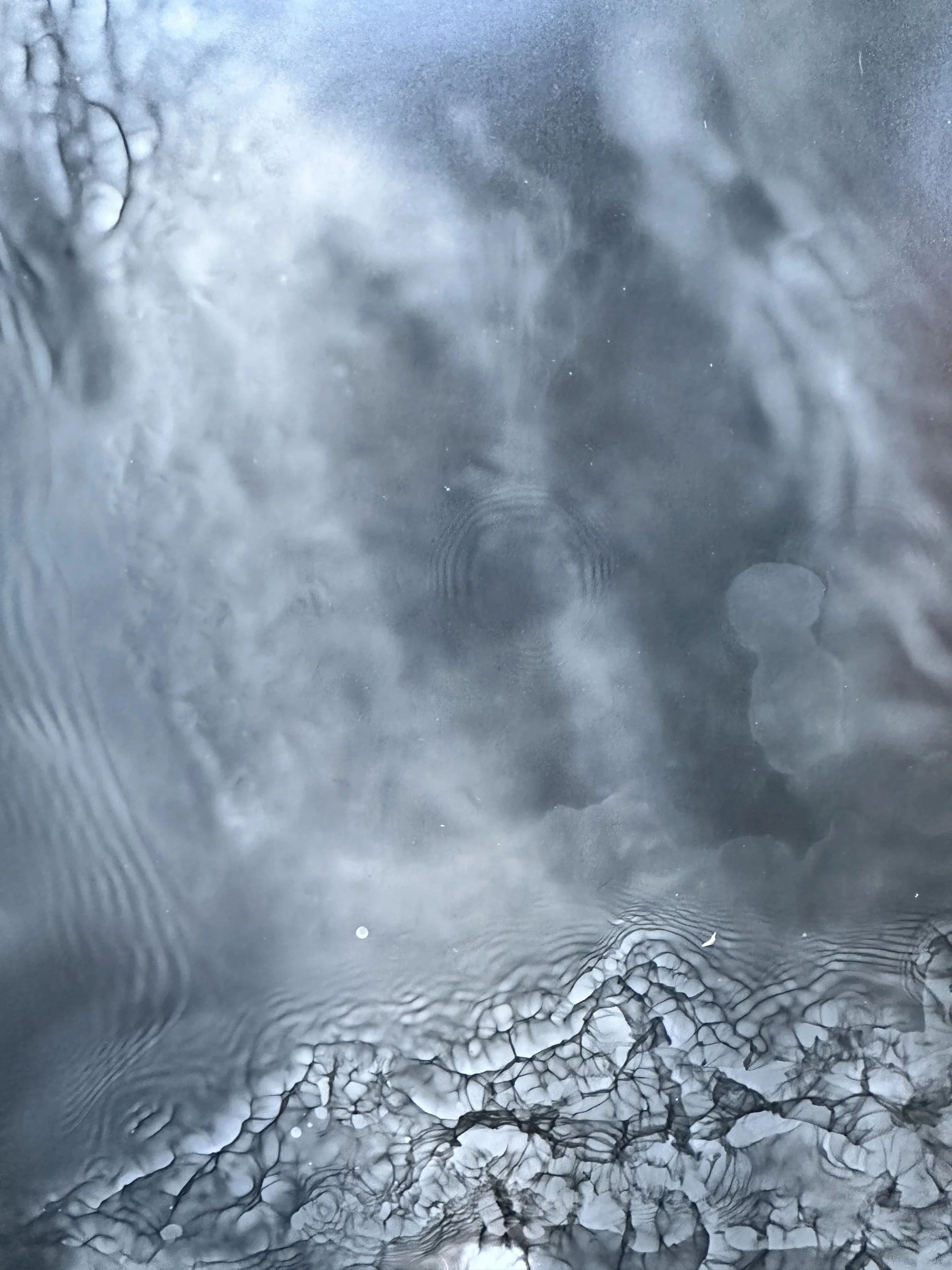 "Reverberate, no.2" Watergram, 2023. Water, motion, light on black and white darkroom paper, traditional darkroom chemistry.