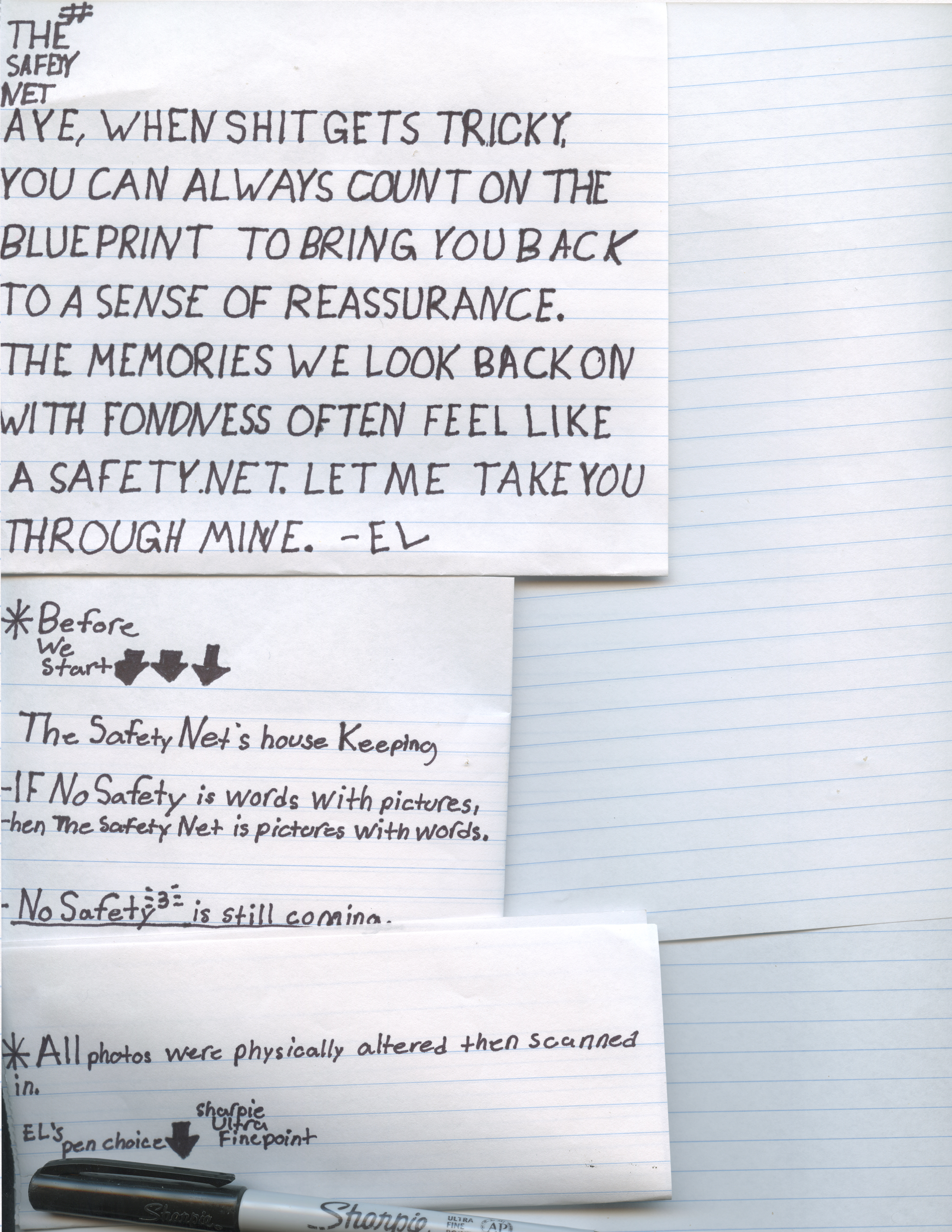 3 intro page for the saftey net.png