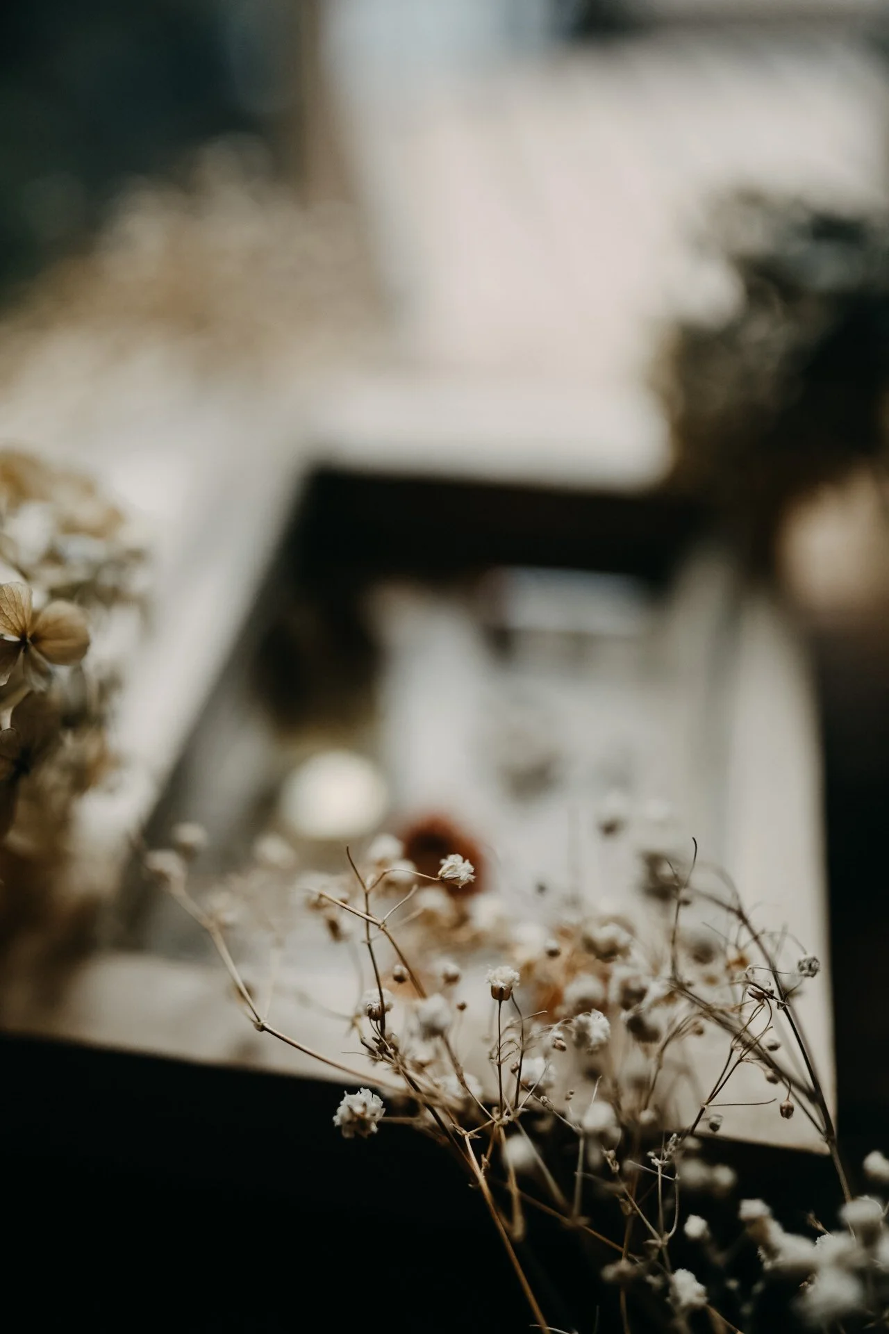 Close-up of dried flowers in a soft focus, creating a vintage aesthetic.