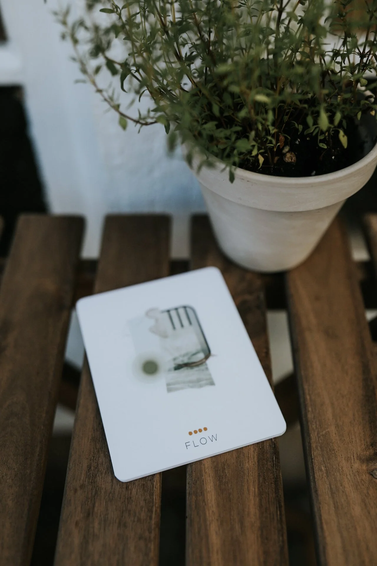 Potted plant on wooden table with card labeled "Flow"