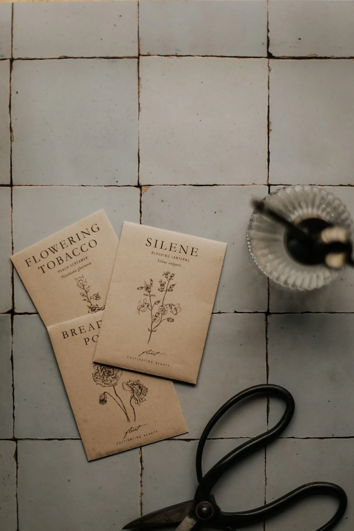 Seed packets for flowering plants on a tiled surface alongside scissors and a vase with a brush.