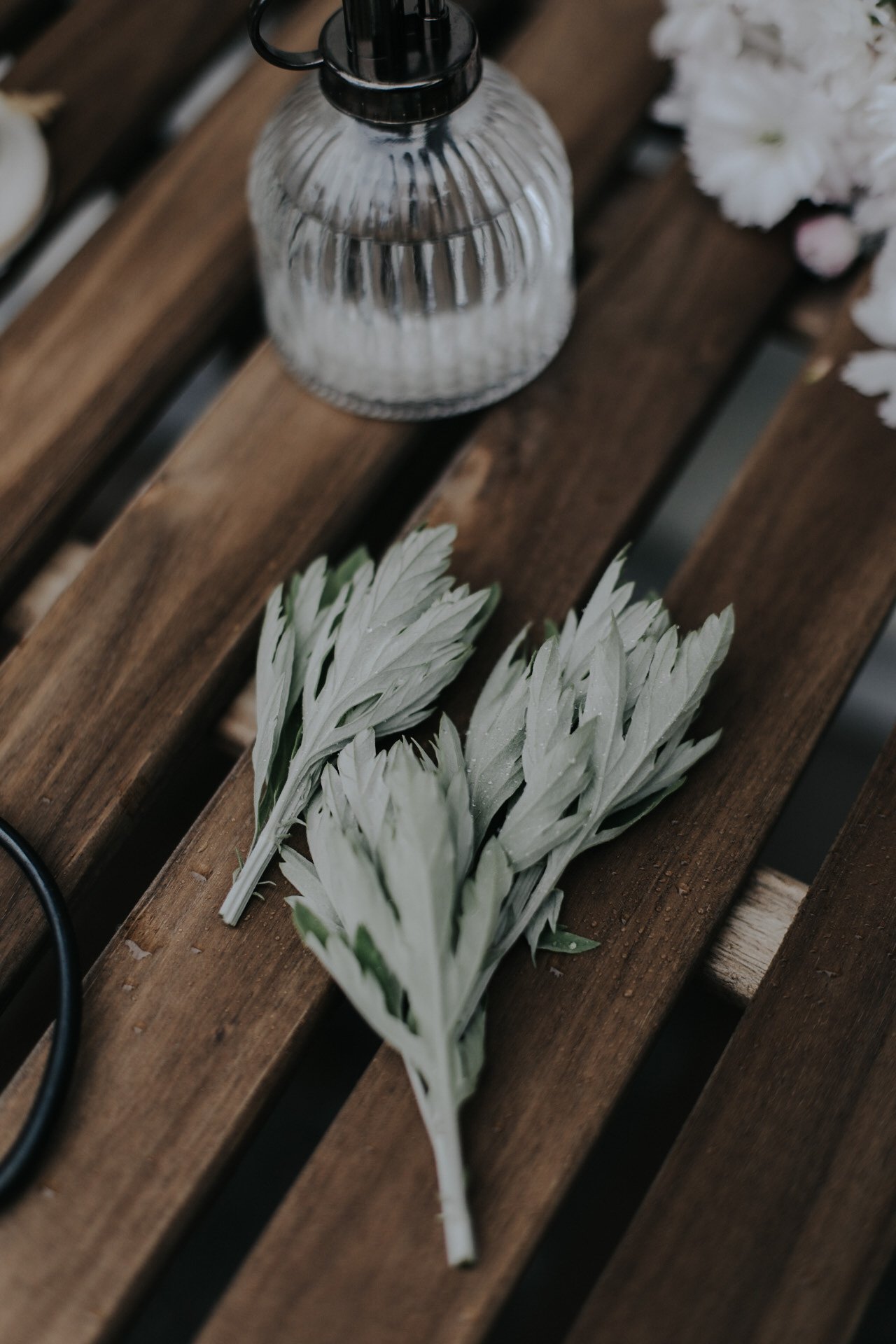 Wooden table with green leaves and a glass spray bottle