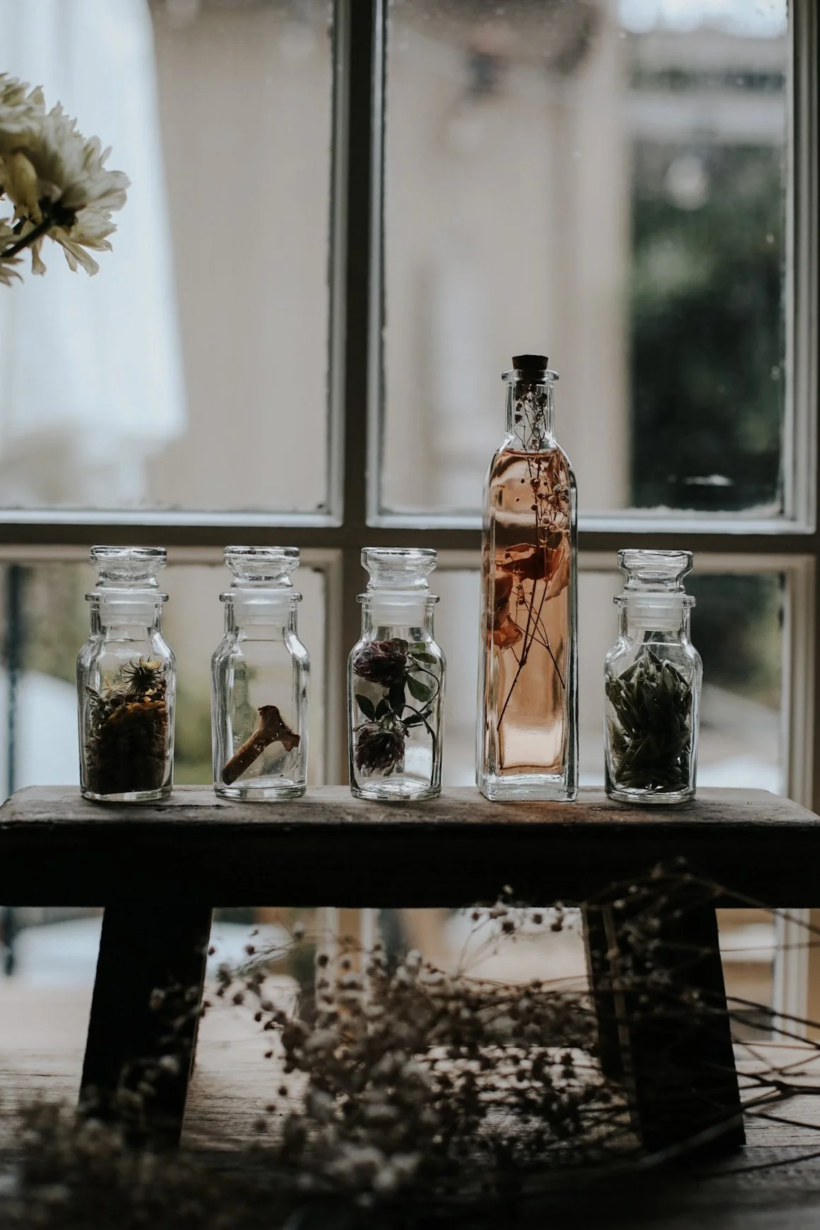 Glass bottles with herbs and plants near window, rustic setting.