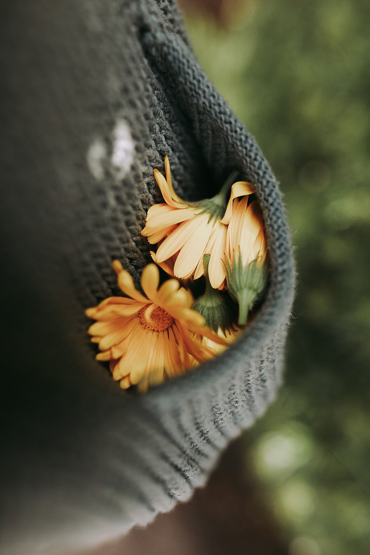 Top view of a bundle of yellow daisies in a knitted fabric bag.
