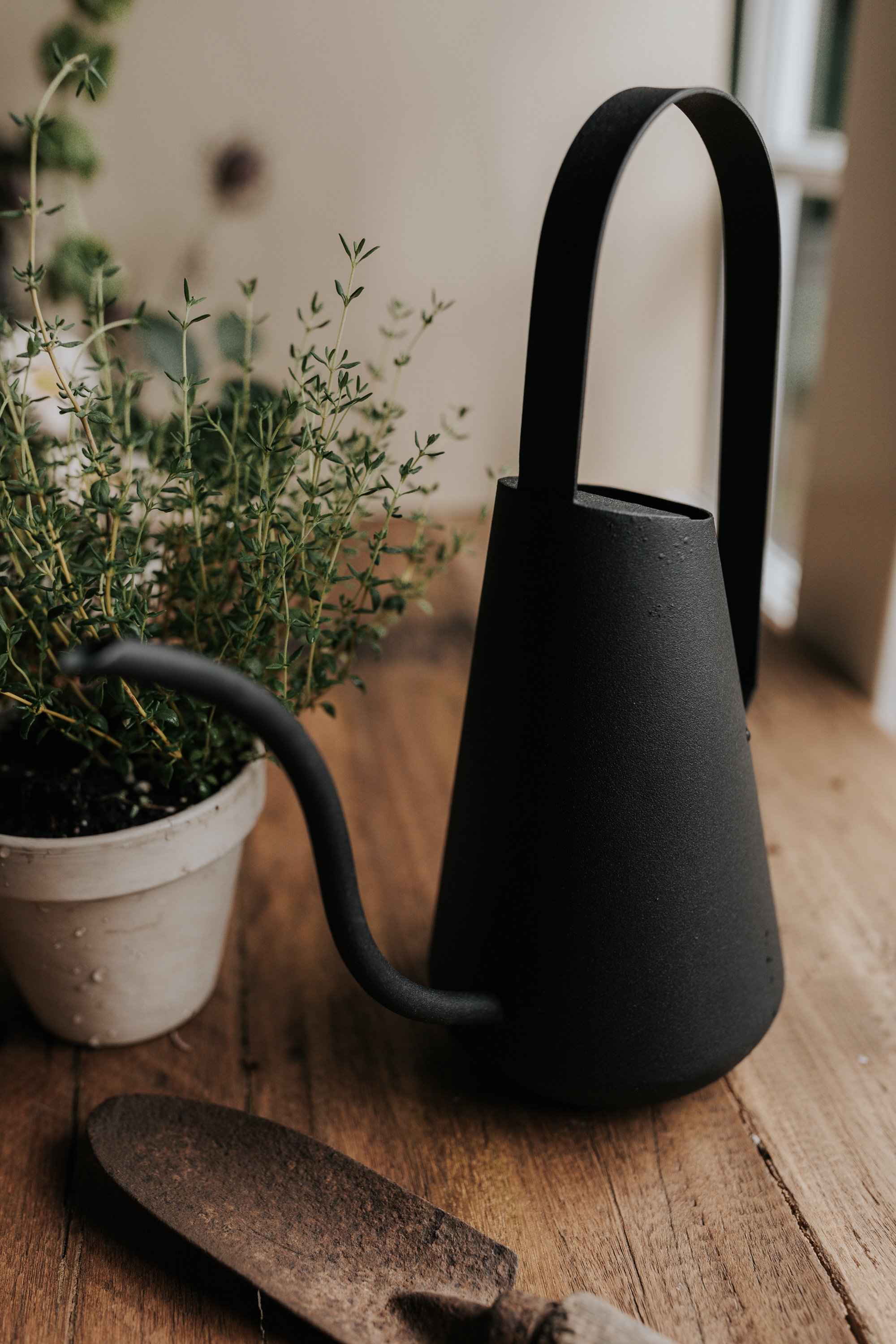 Modern black watering can beside a potted plant and gardening trowel on a wooden surface.