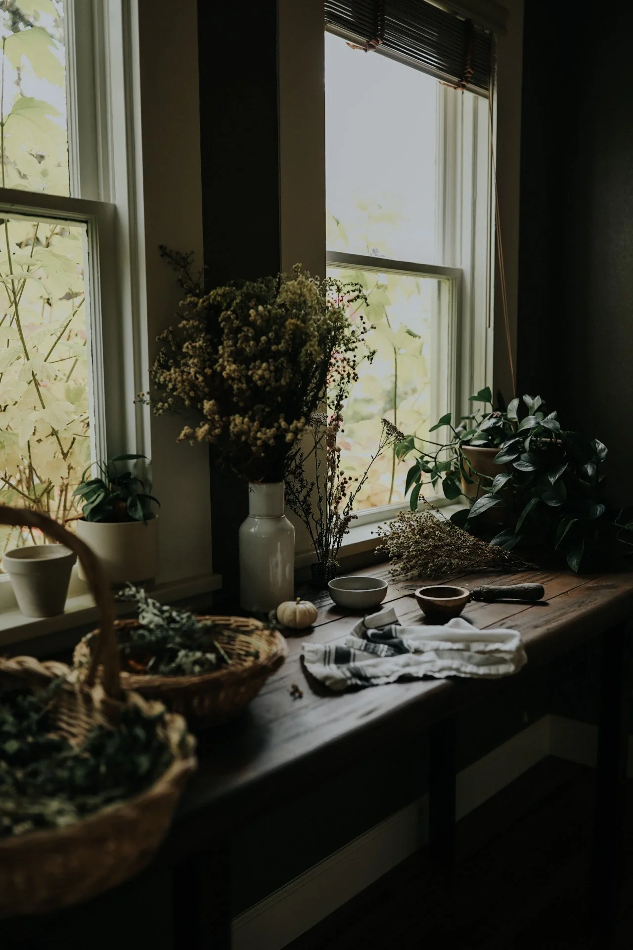 Cozy kitchen scene with dried herbs, houseplants, baskets, and a small pumpkin on a wooden table near a window.