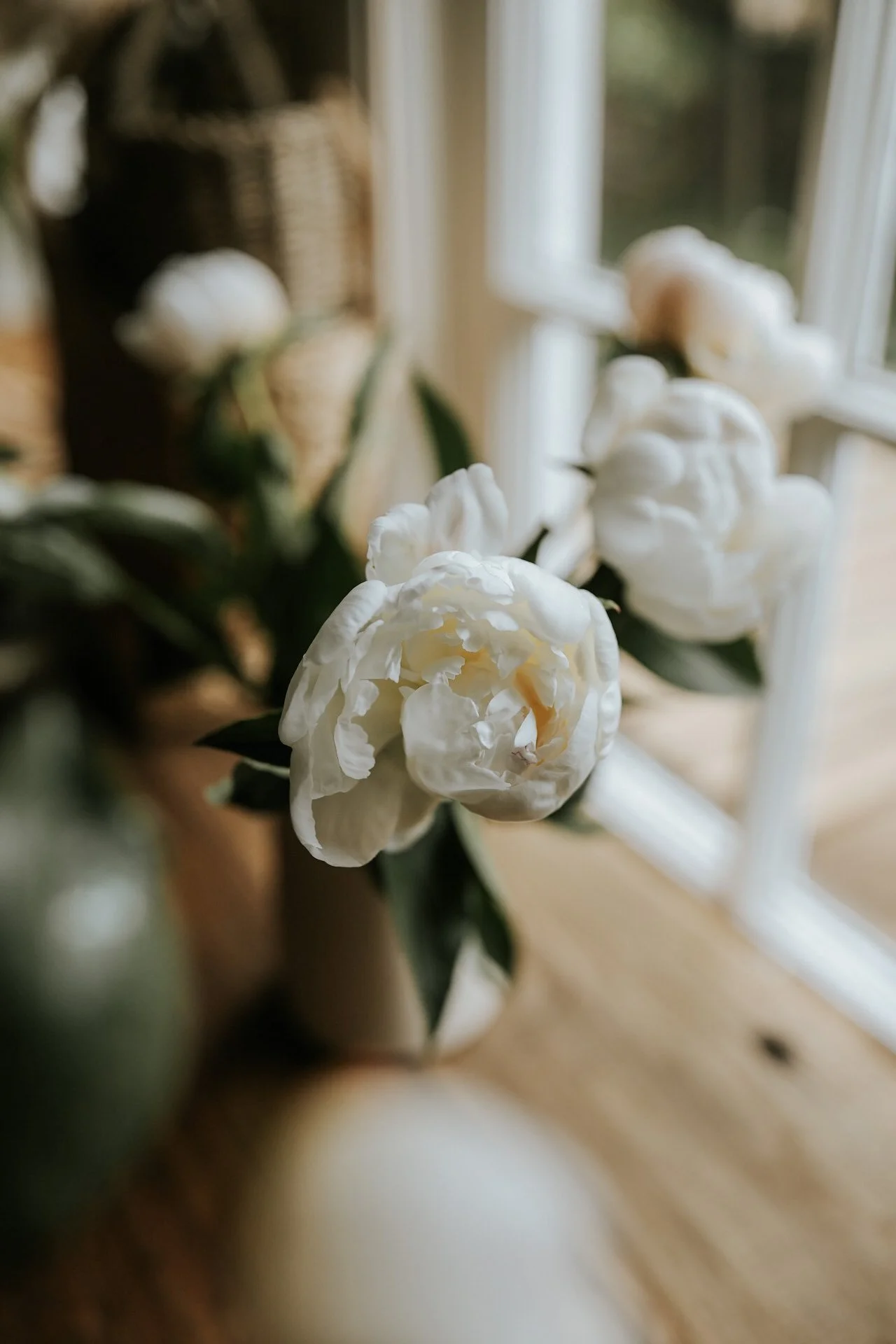White peonies in soft focus near a window with natural light.