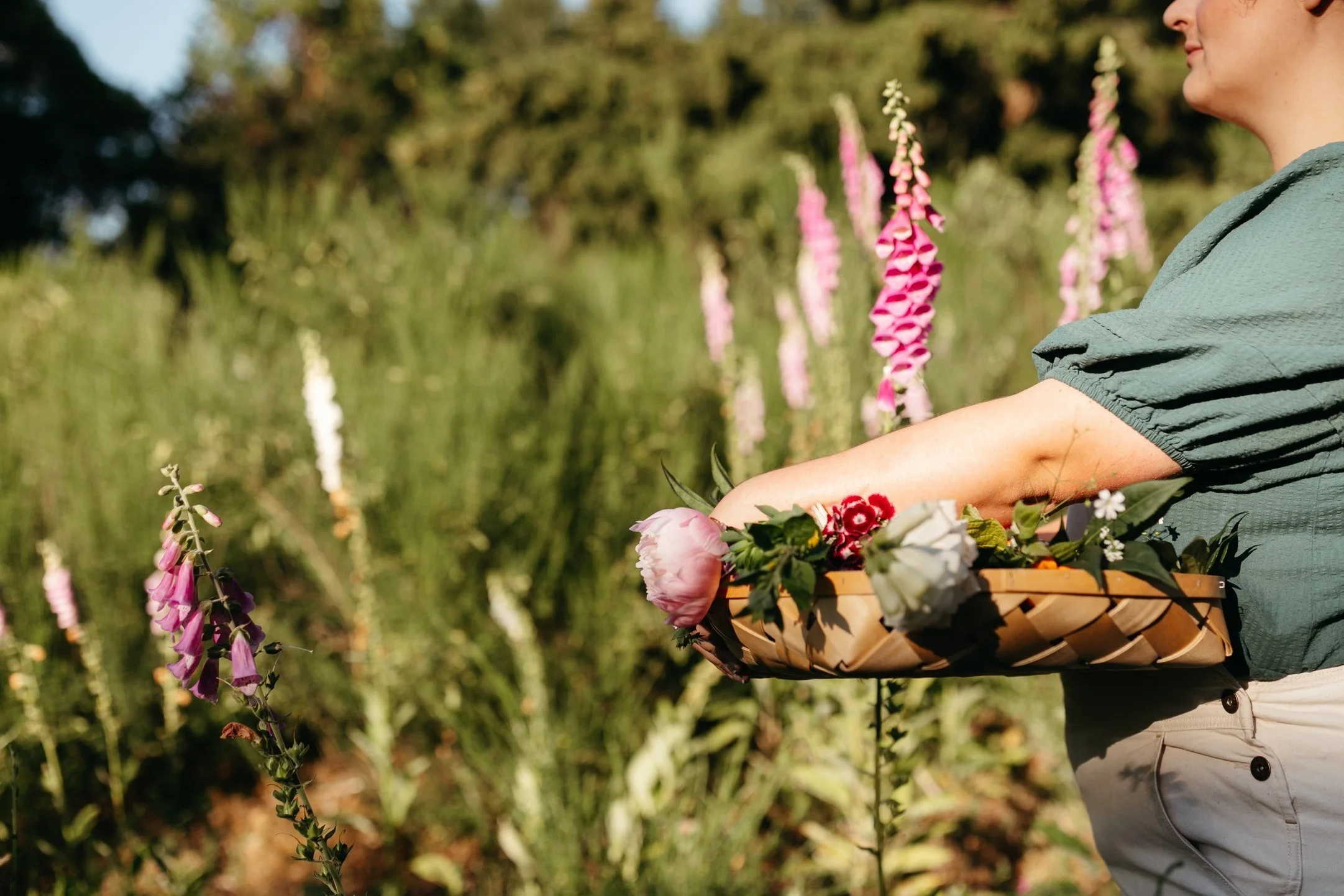 Person holding a basket of flowers in a garden with blooming foxgloves.