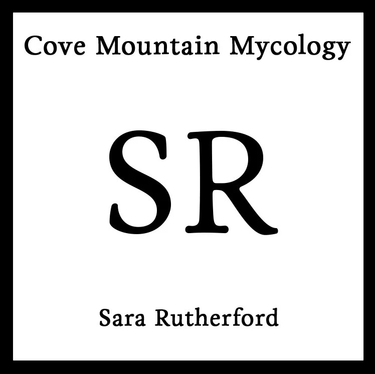 CM2 Sara Rutherford.jpg