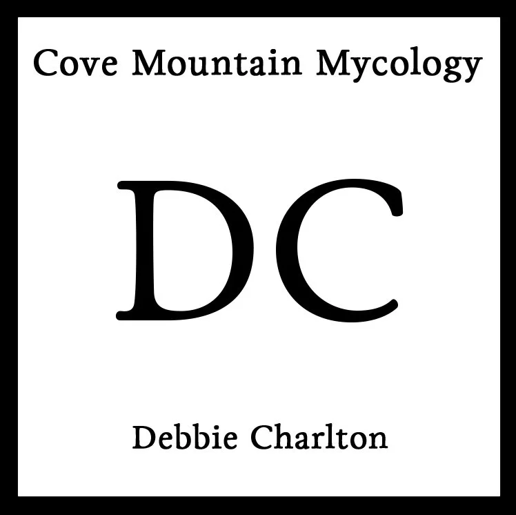 CM2 Debbie Charlton.jpg