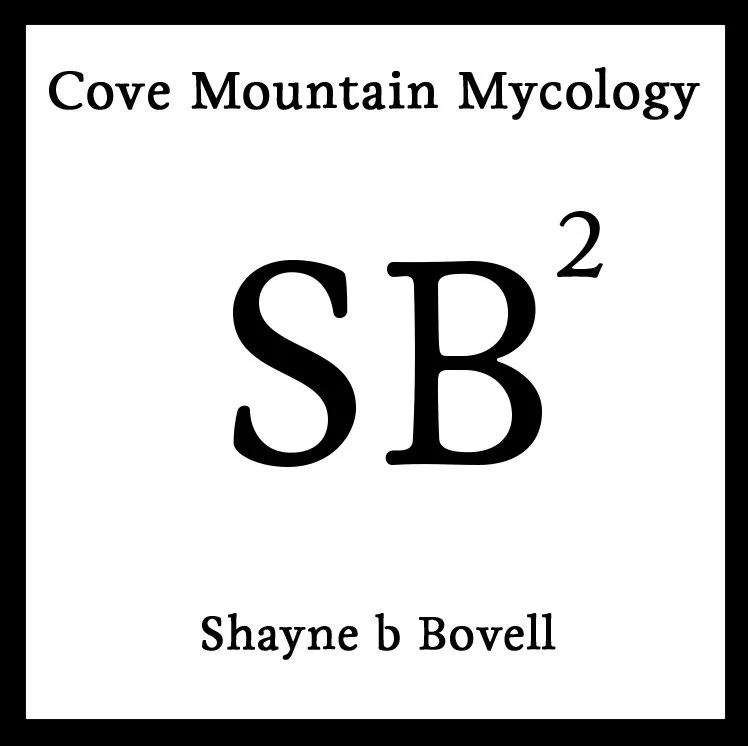 CM2 Shayne b Bovell.jpg