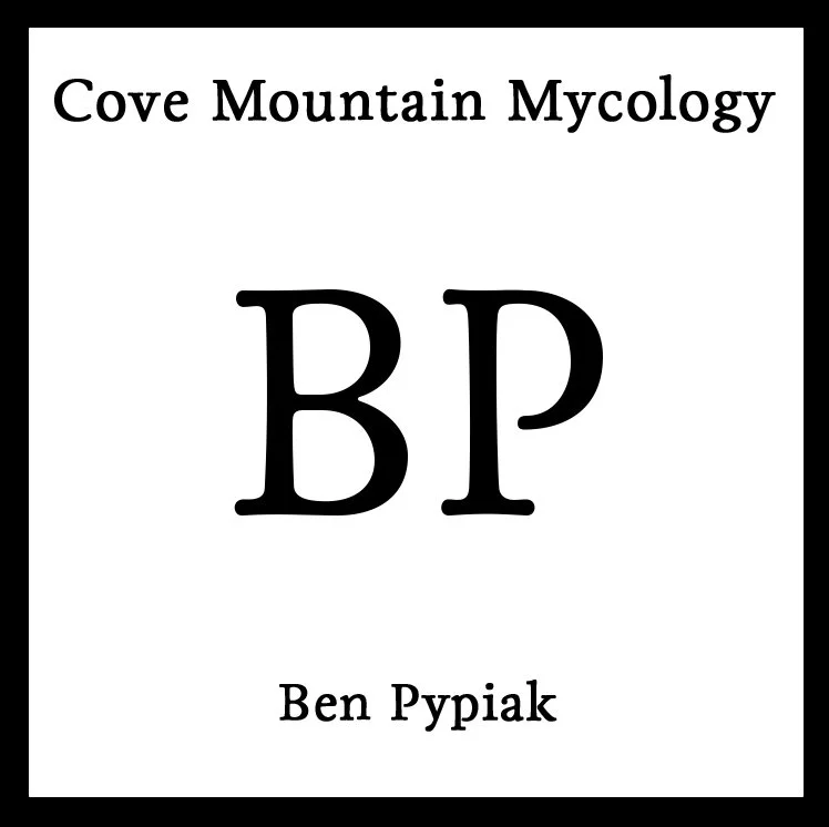 CM2 Ben Pypiak.jpg