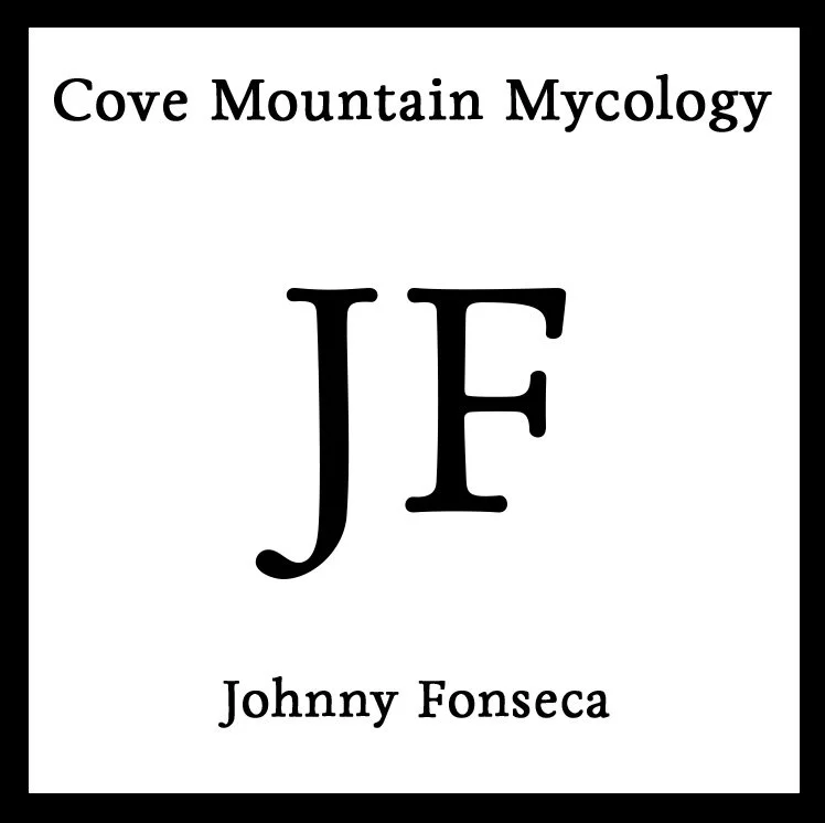 CM2 Johnny Fonseca.jpg